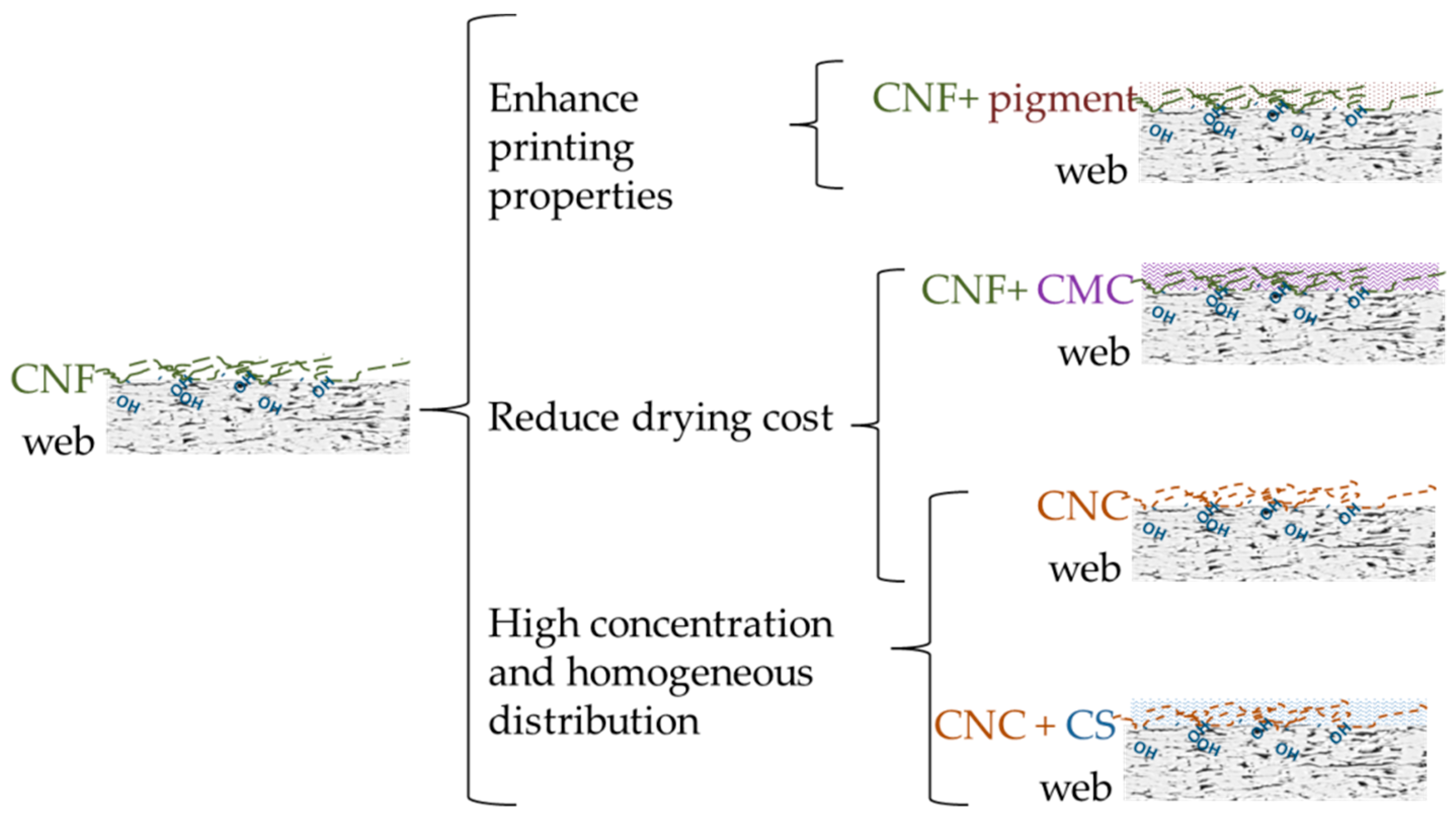 Molecules 25 00526 g002 Molecules 25 00526 g002