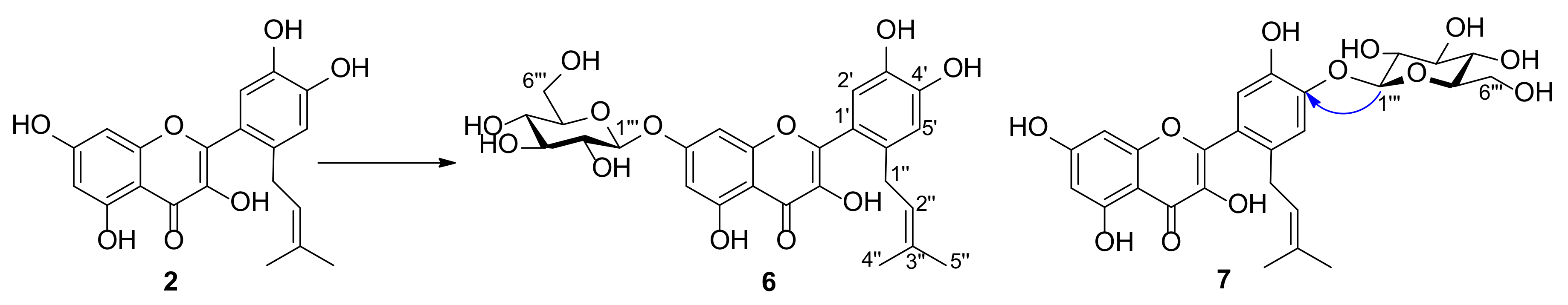 Molecules 25 00528 sch003 Molecules 25 00528 sch003