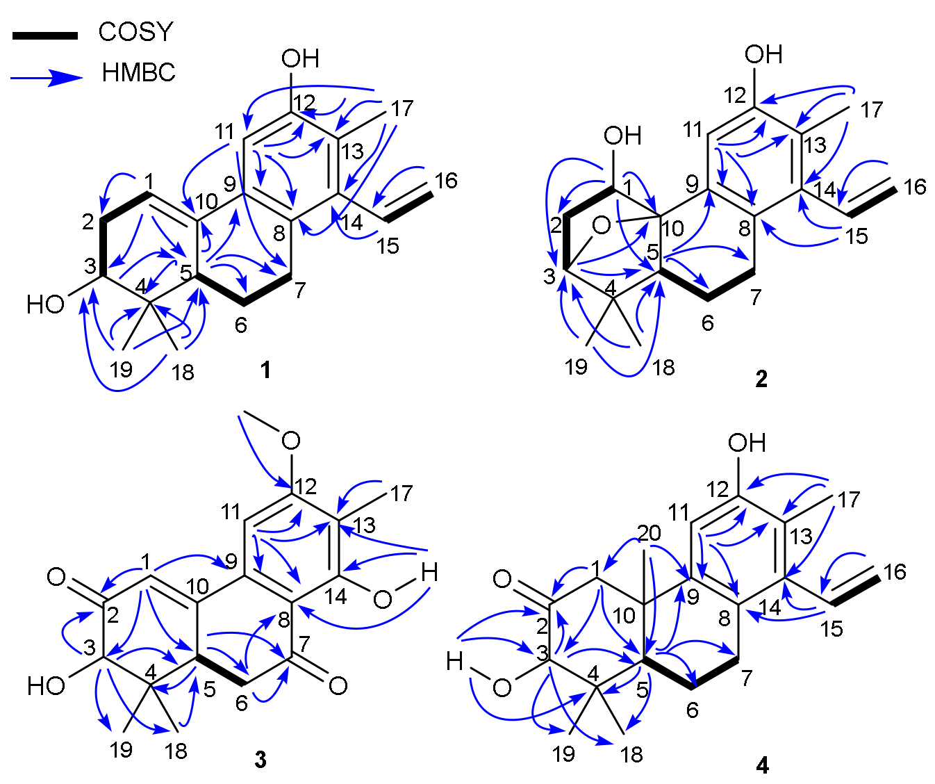 Molecules 25 00529 g002