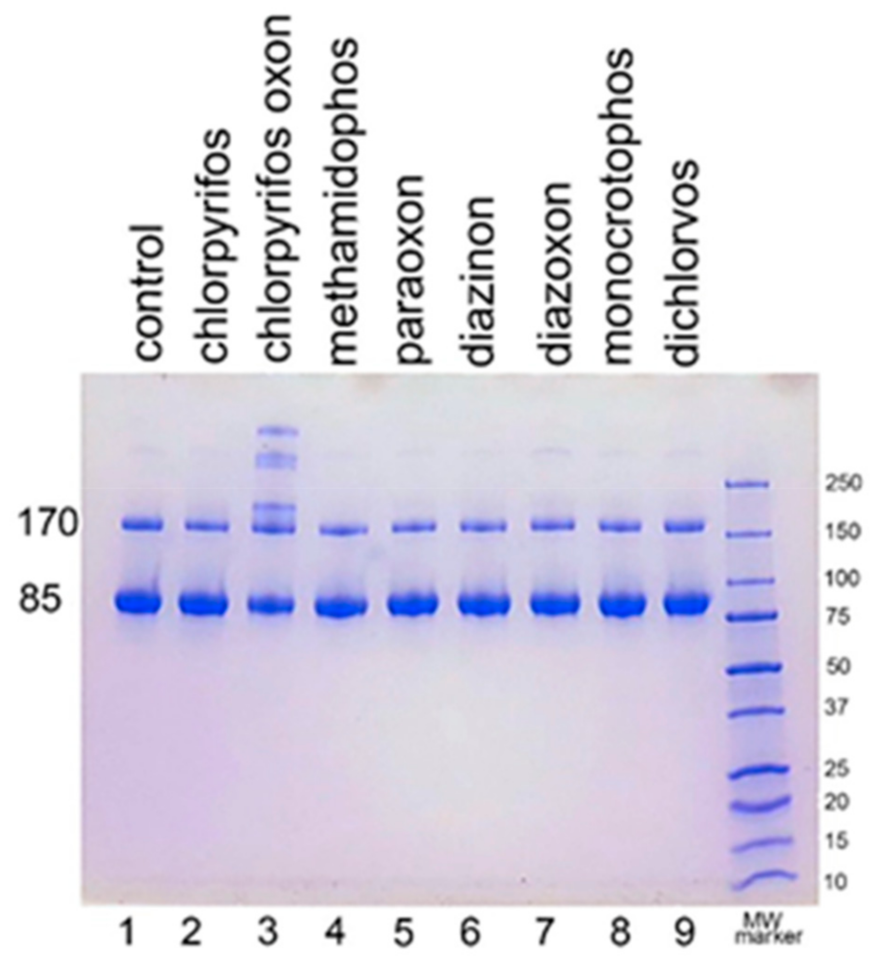 Molecules 25 00533 g002
