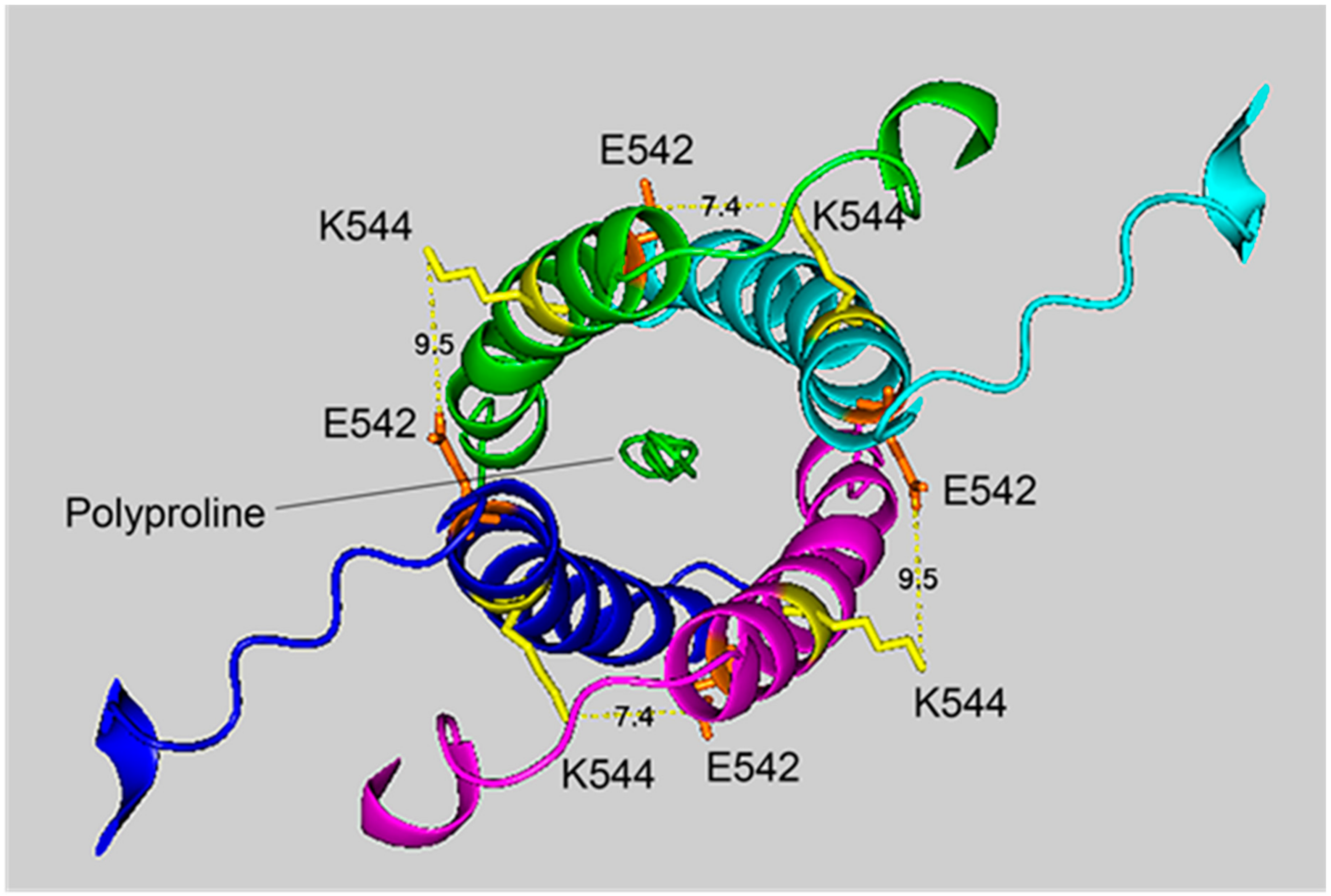 Molecules 25 00533 g004