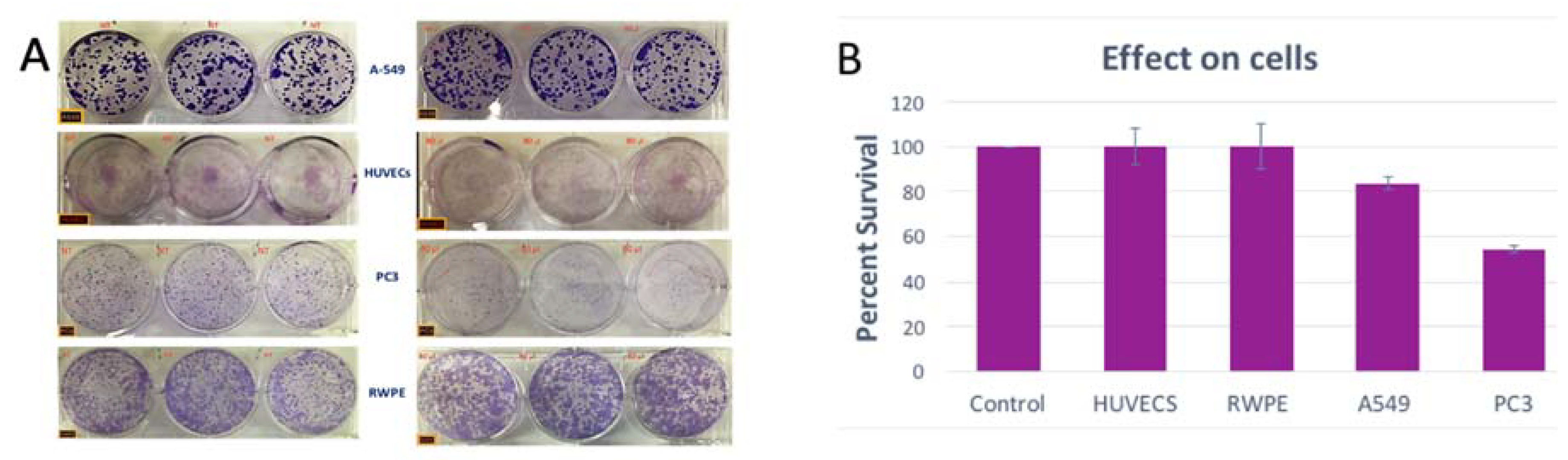 Molecules 25 00534 g003 Molecules 25 00534 g003