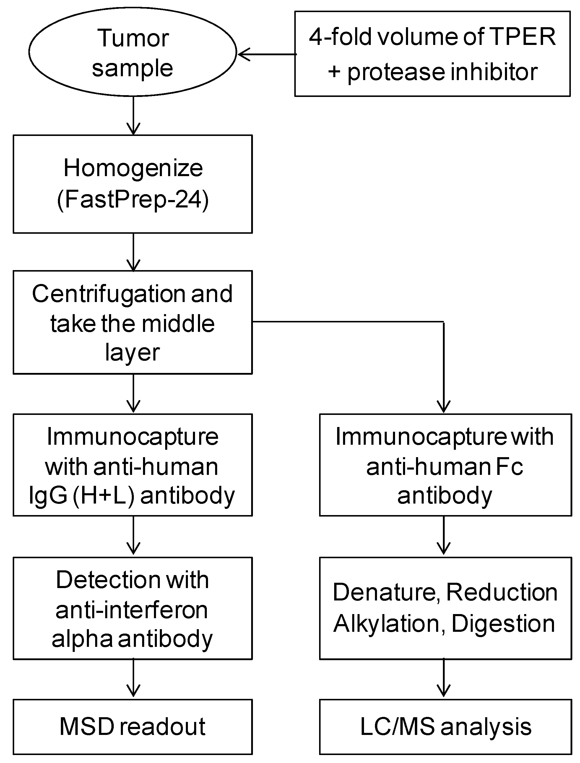 Molecules 25 00535 g002