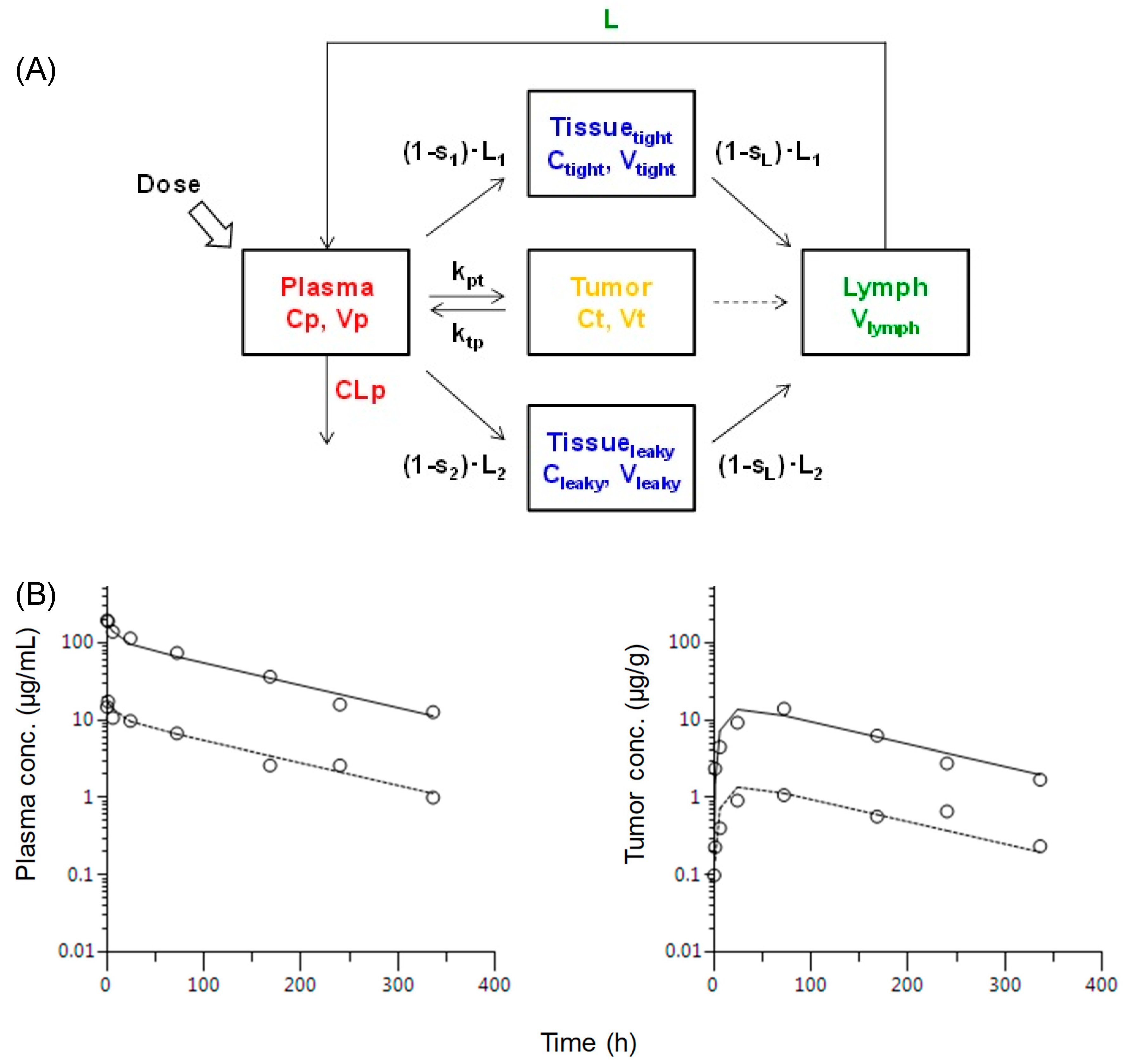 Molecules 25 00535 g004