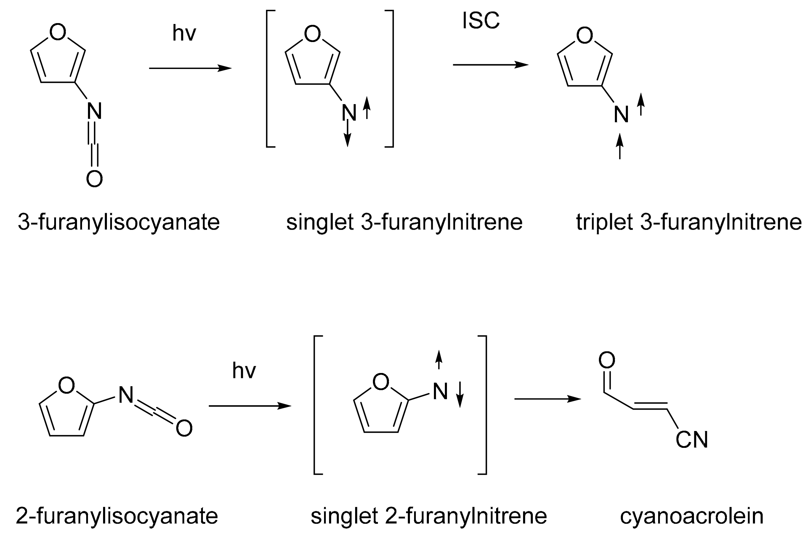 Molecules 25 00543 sch006