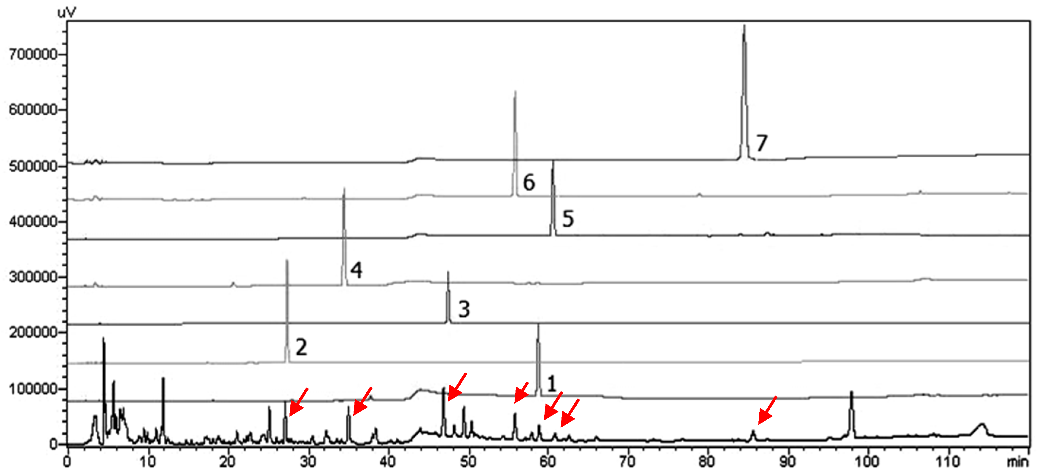 Molecules 25 00551 g004 Molecules 25 00551 g004