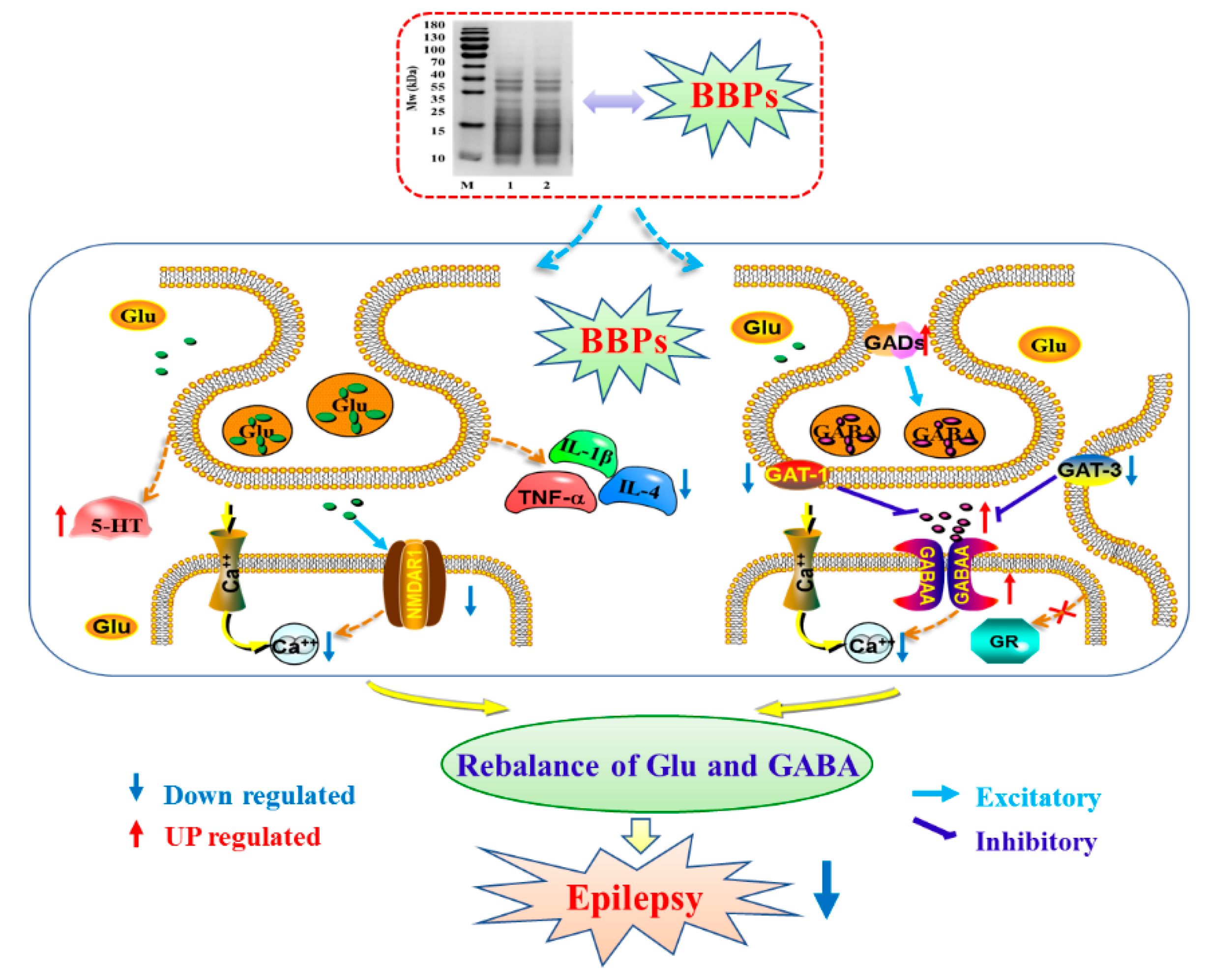 Molecules 25 00553 g006 Molecules 25 00553 g006