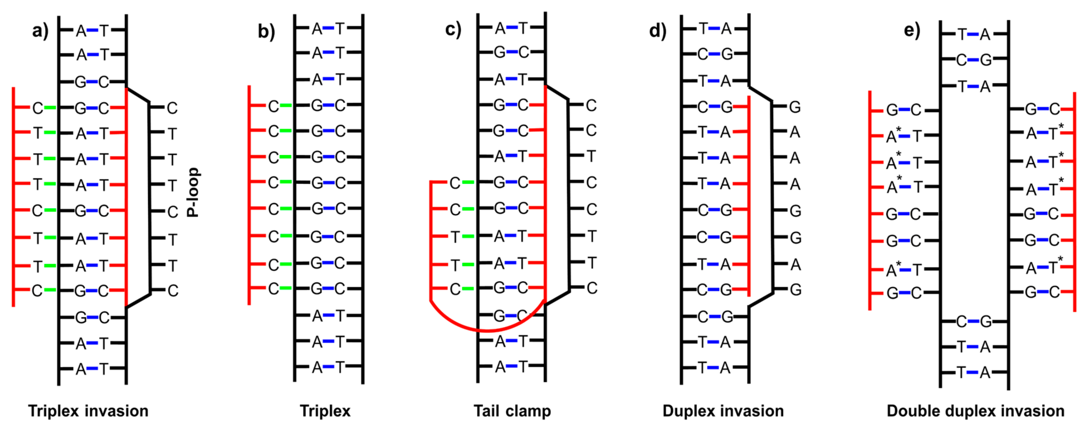 Molecules 25 00559 g001 Molecules 25 00559 g001
