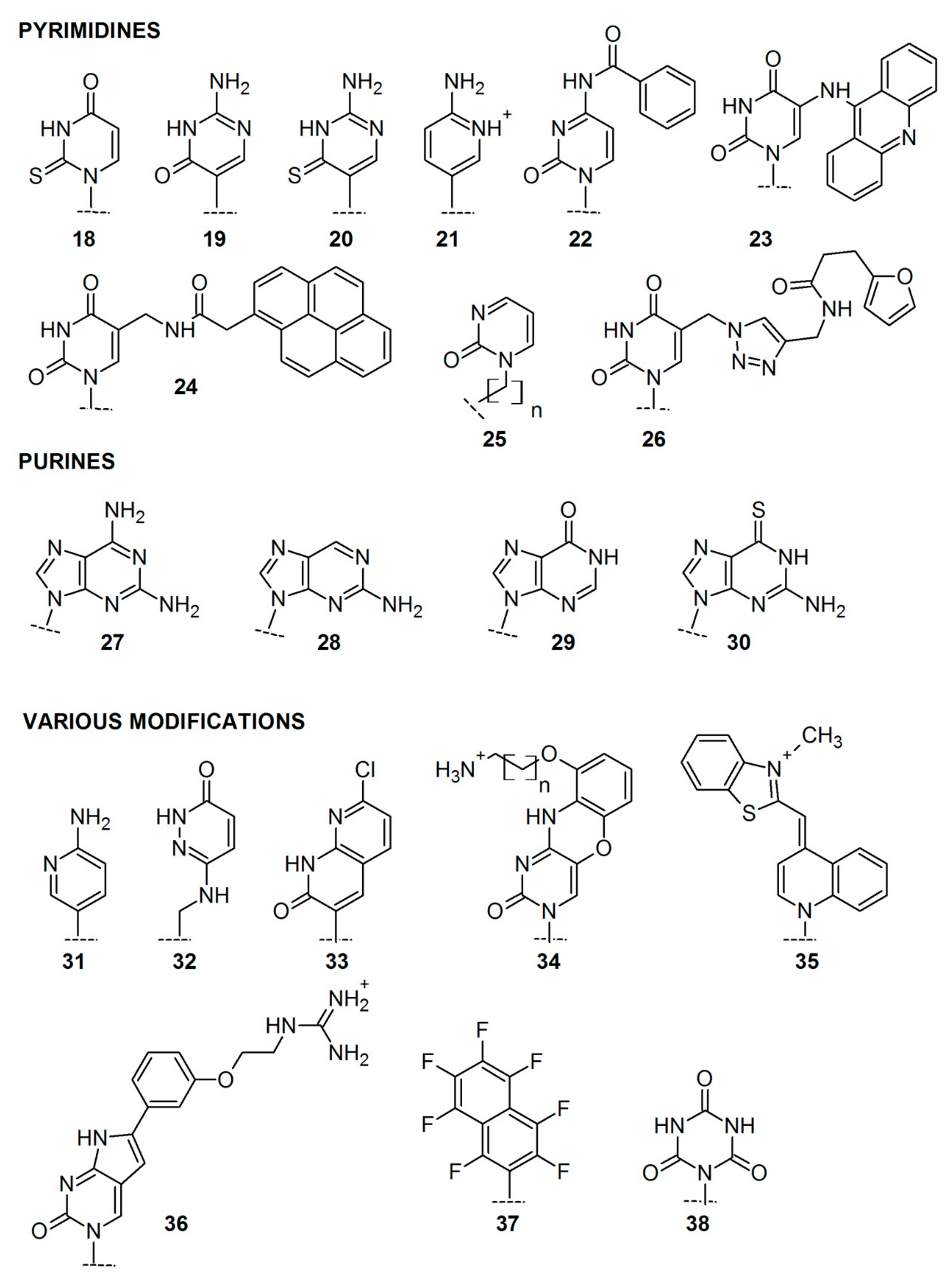 Molecules 25 00559 g004 Molecules 25 00559 g004