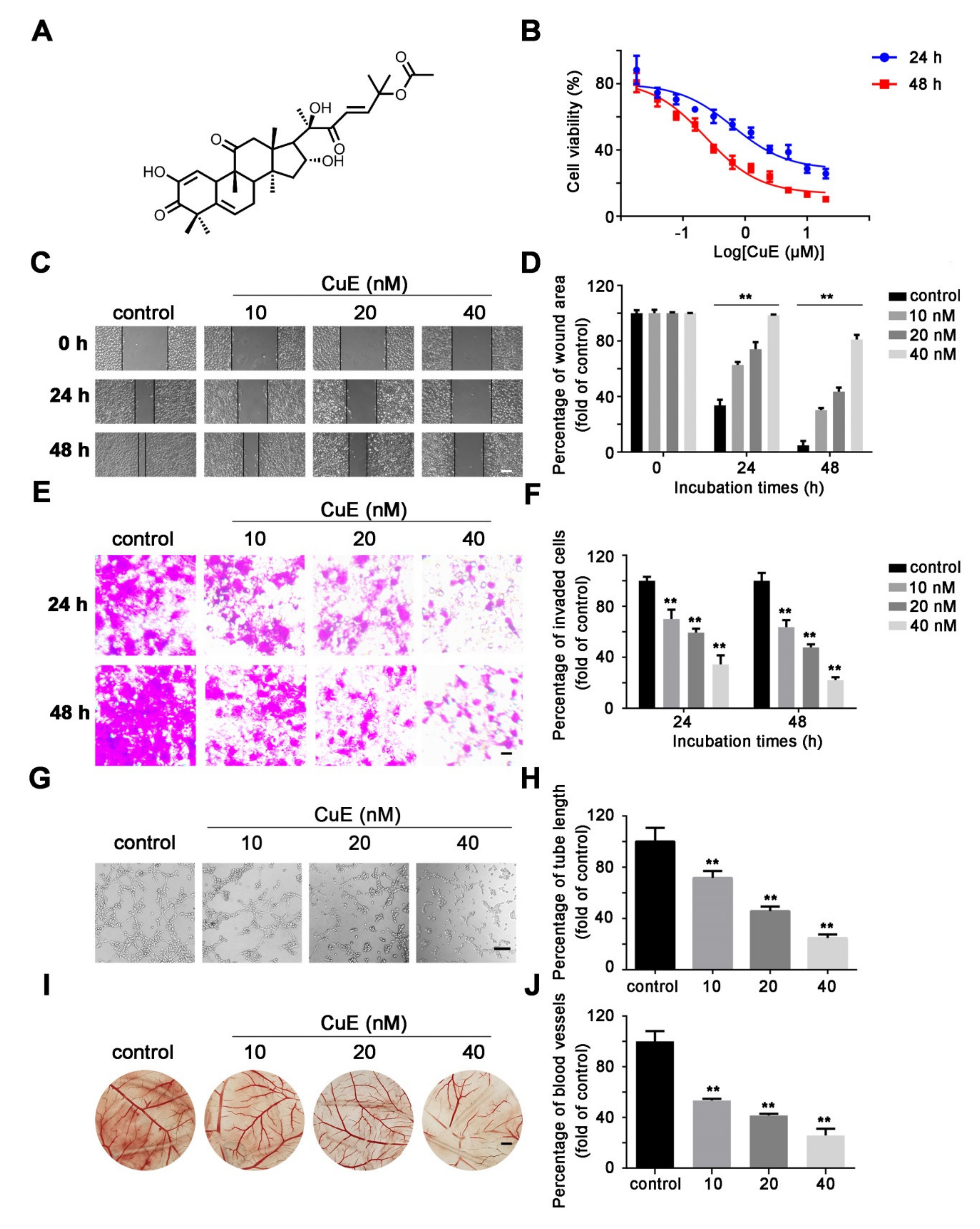 Molecules 25 00560 g001