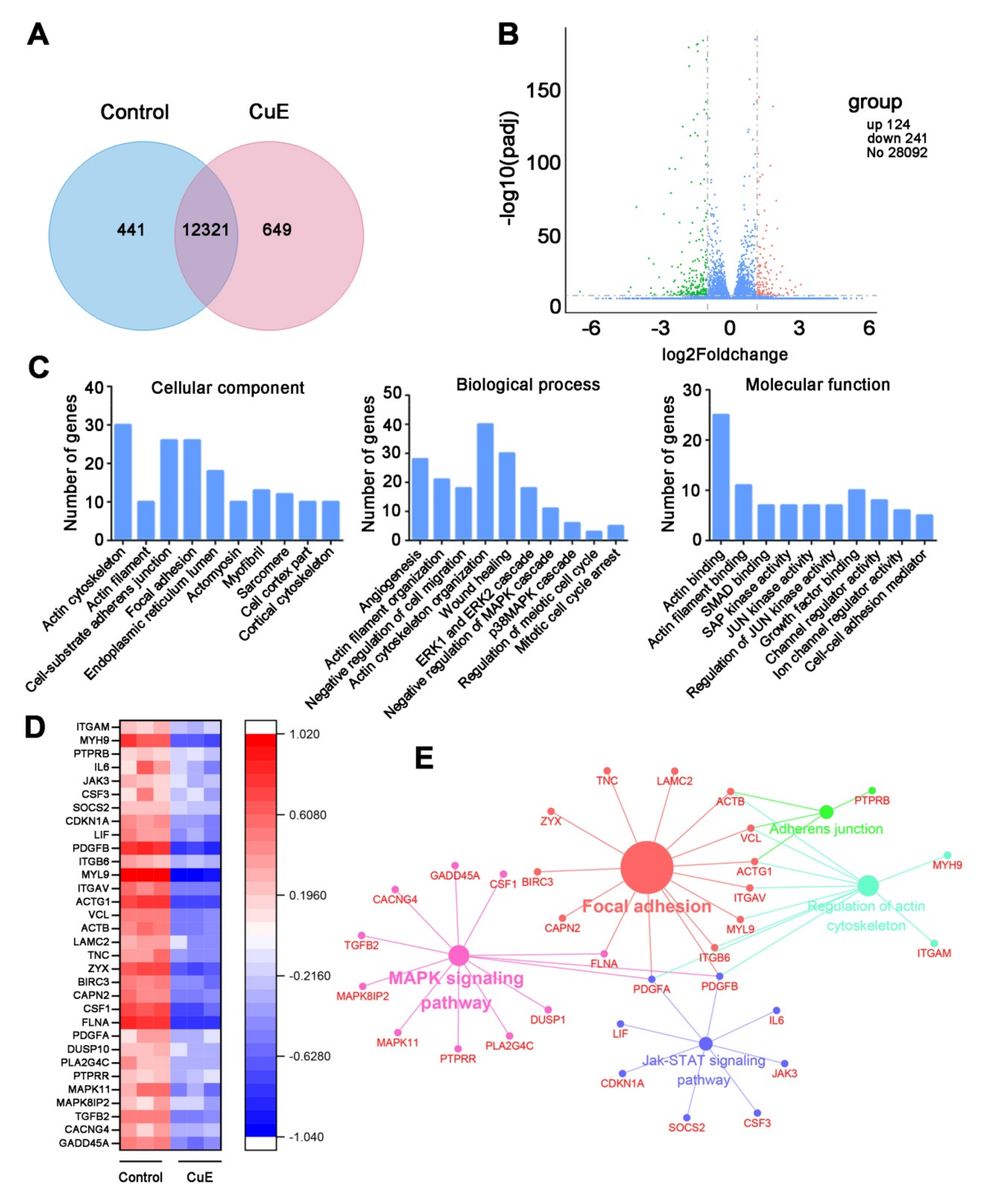 Molecules 25 00560 g002