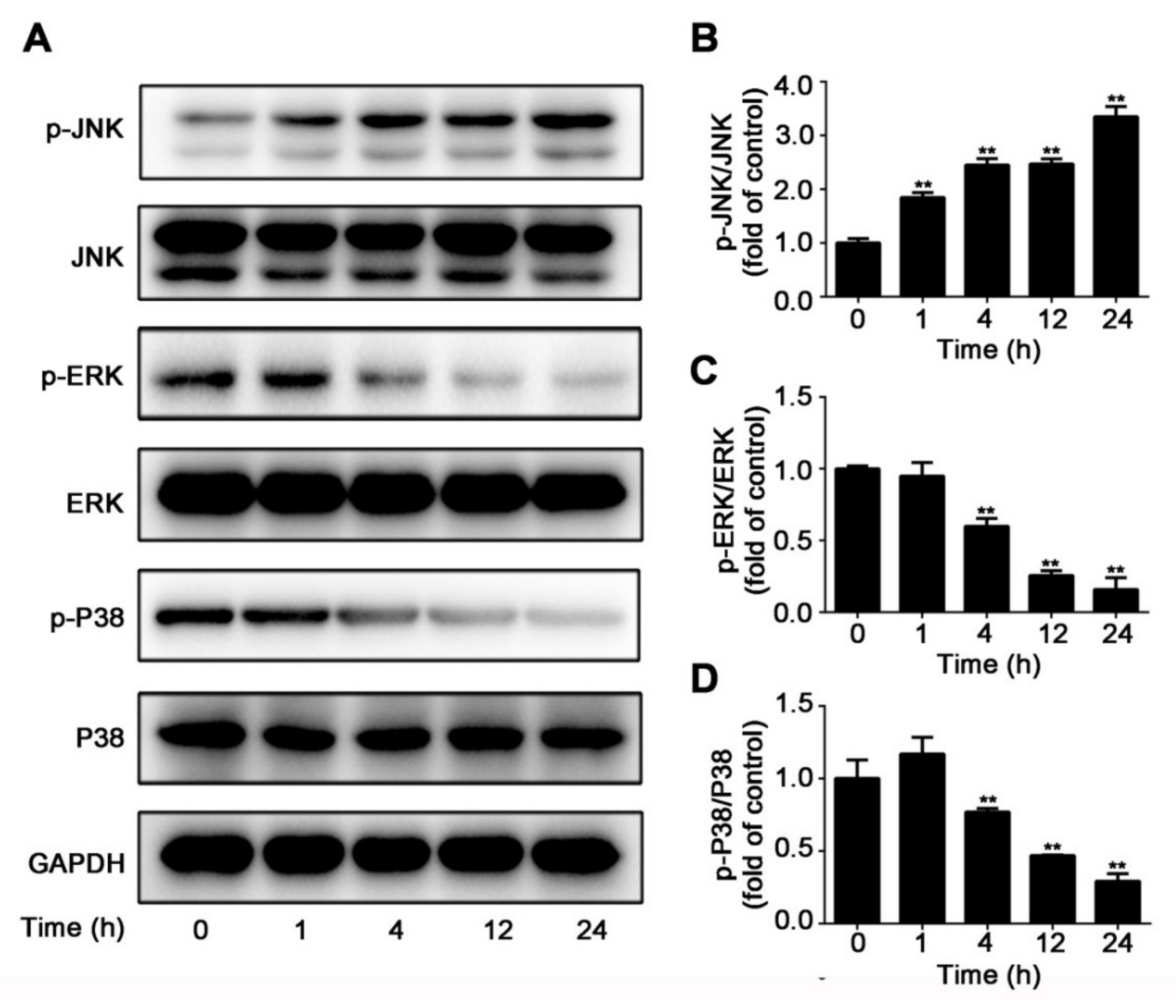 Molecules 25 00560 g004