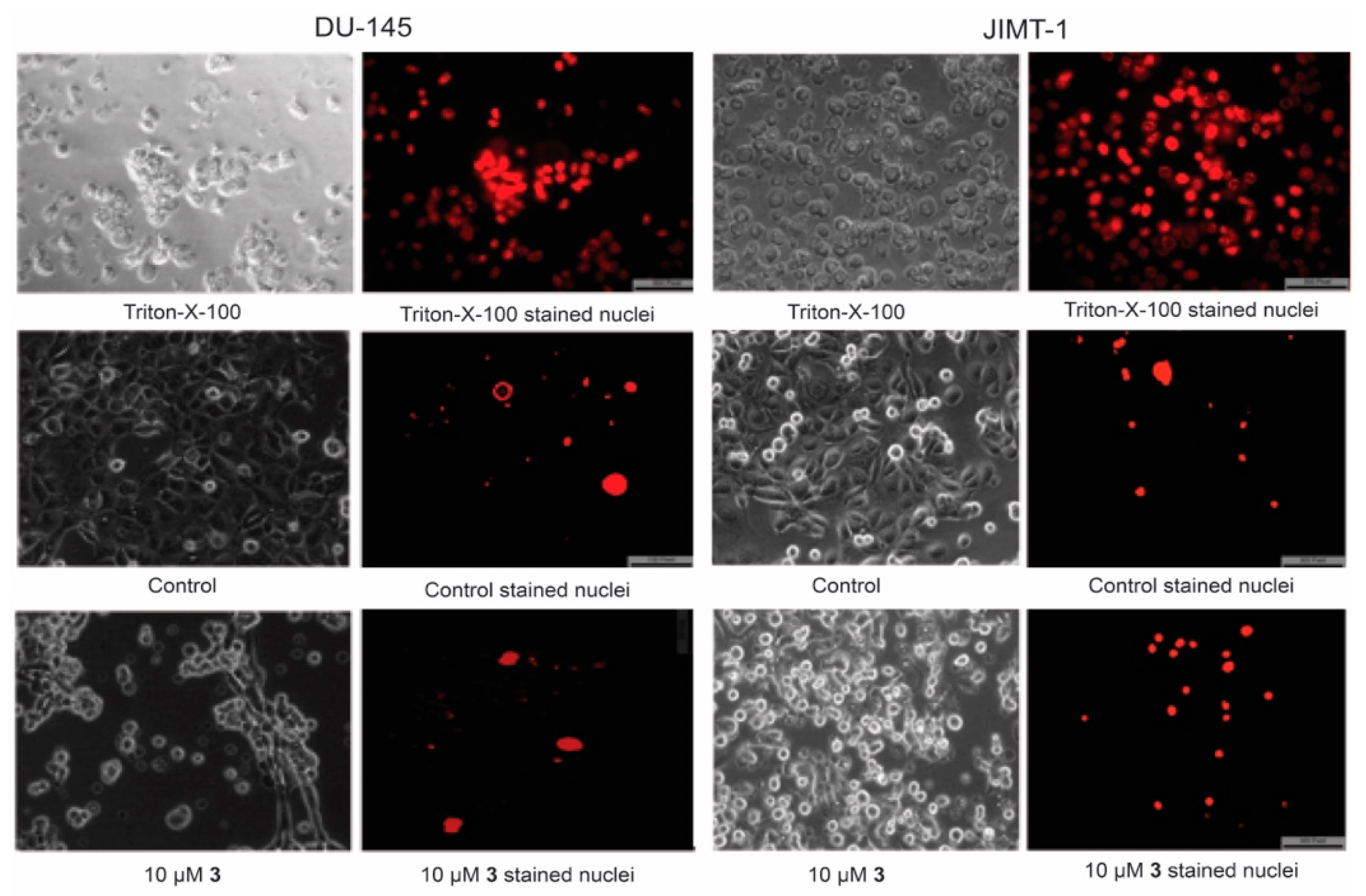 Molecules 25 00566 g005