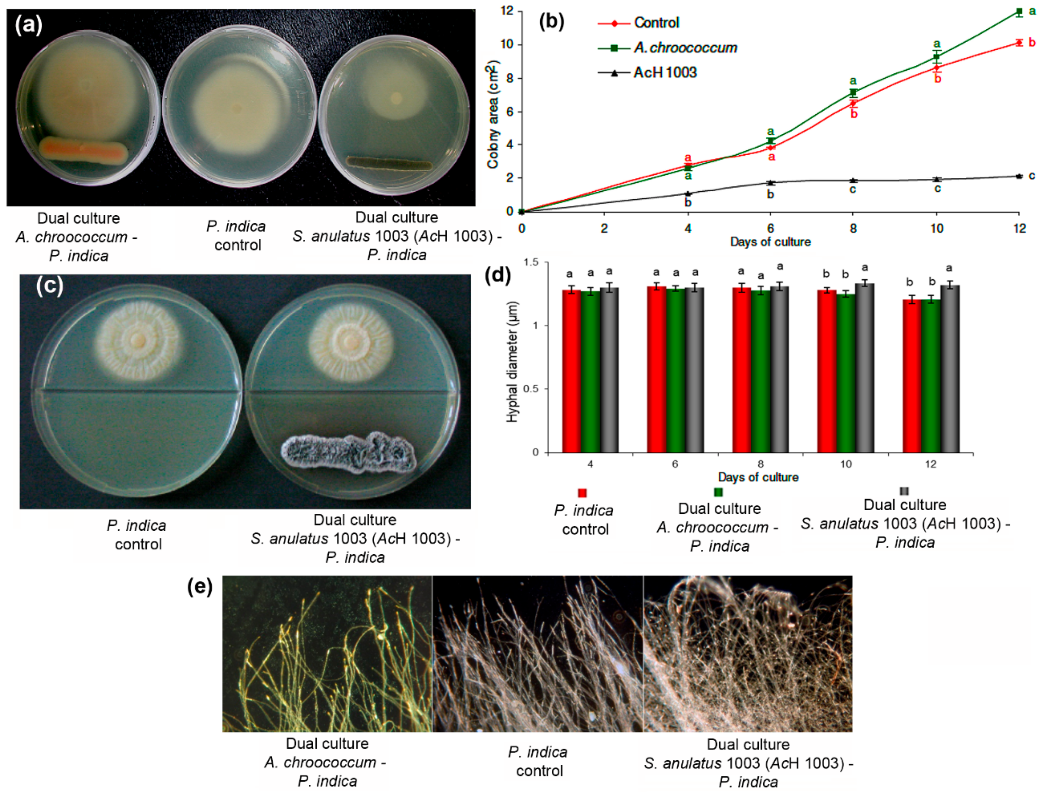 Molecules 25 00572 g002 Molecules 25 00572 g002