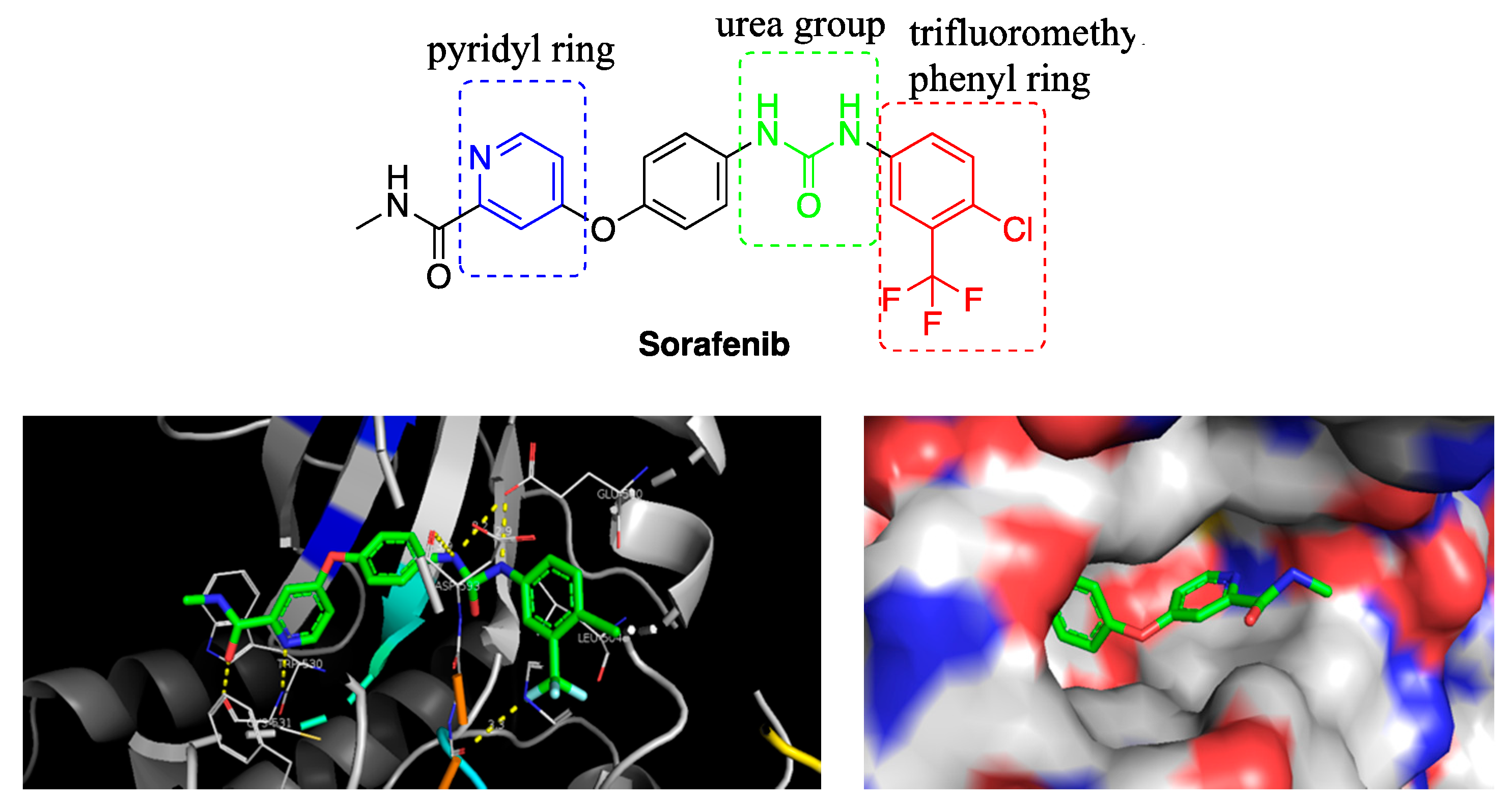 Molecules 25 00573 g001