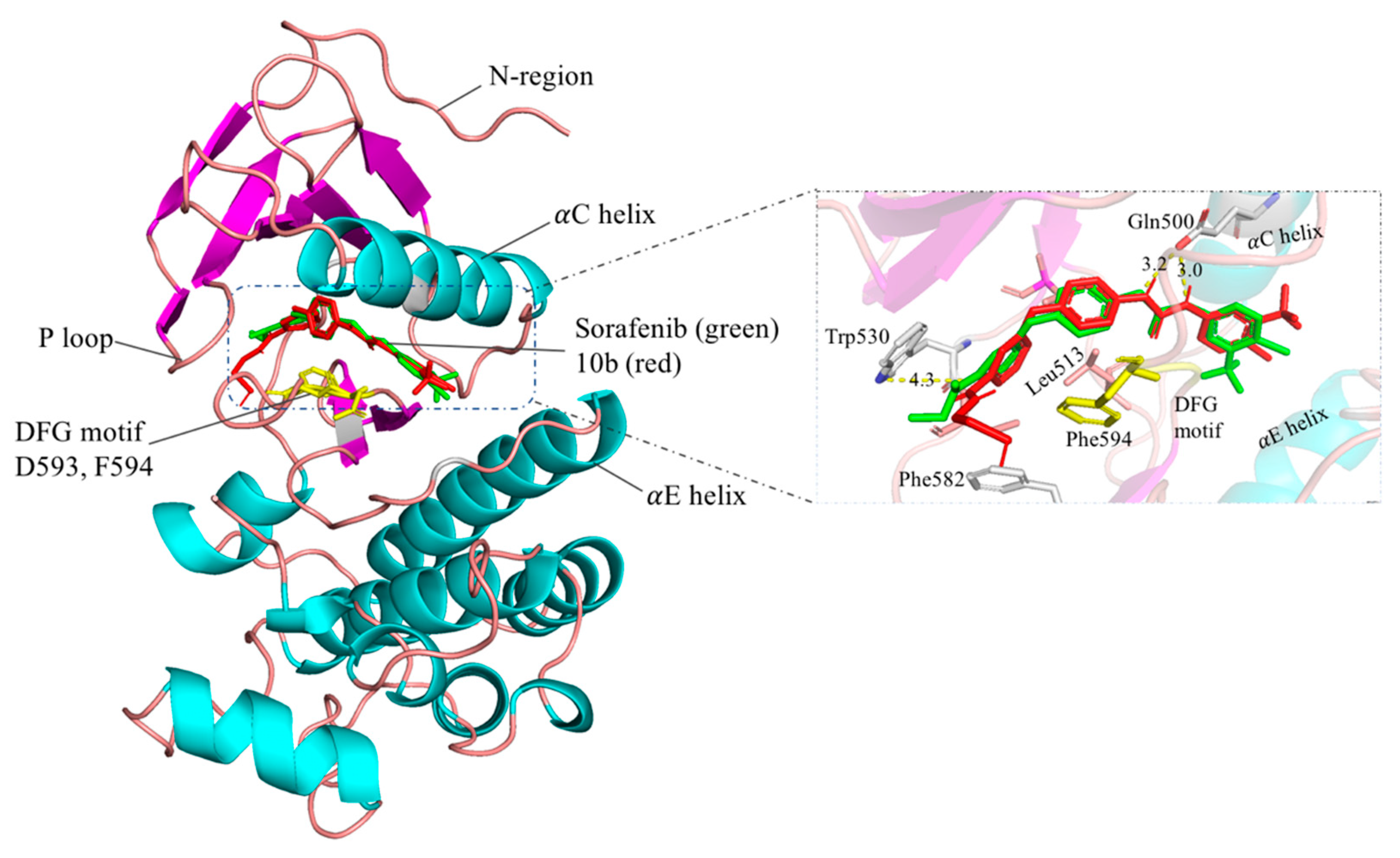 Molecules 25 00573 g003