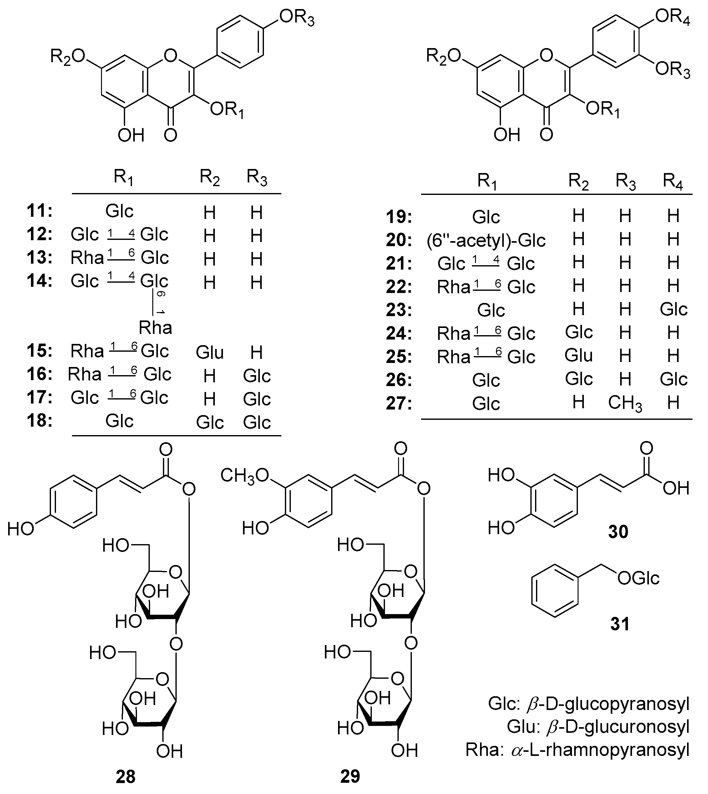 Molecules 25 00577 g002