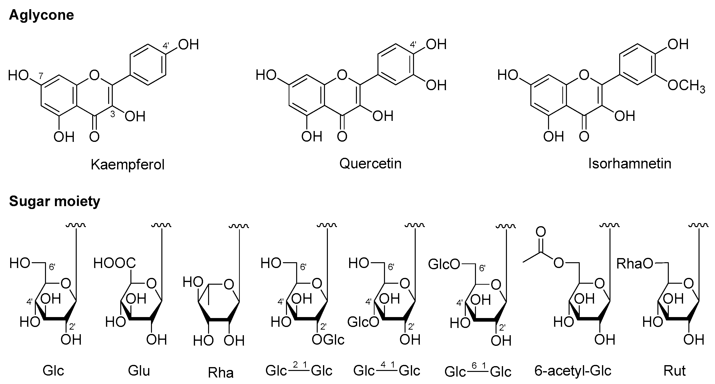 Molecules 25 00577 g005