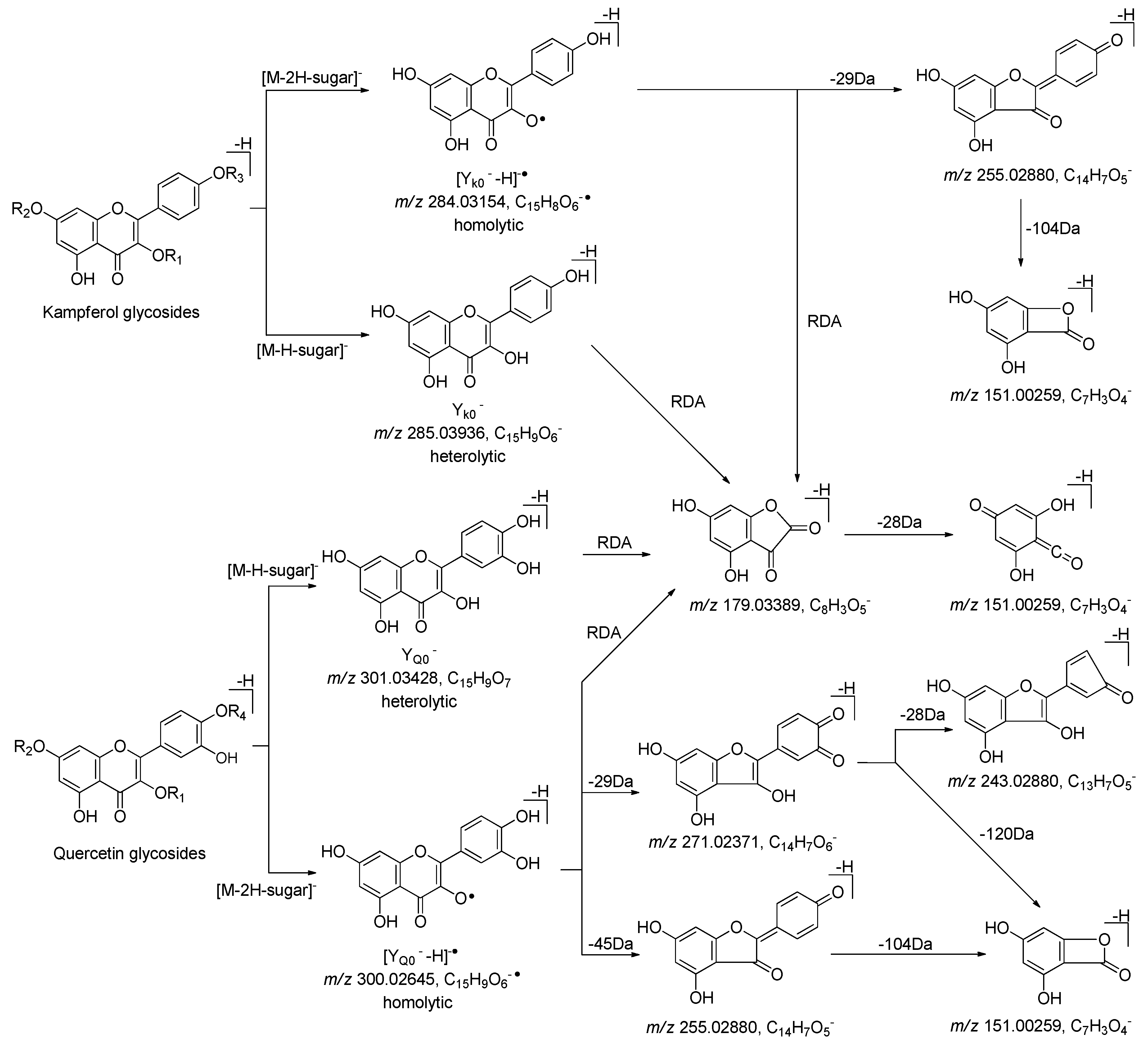 Molecules 25 00577 g009