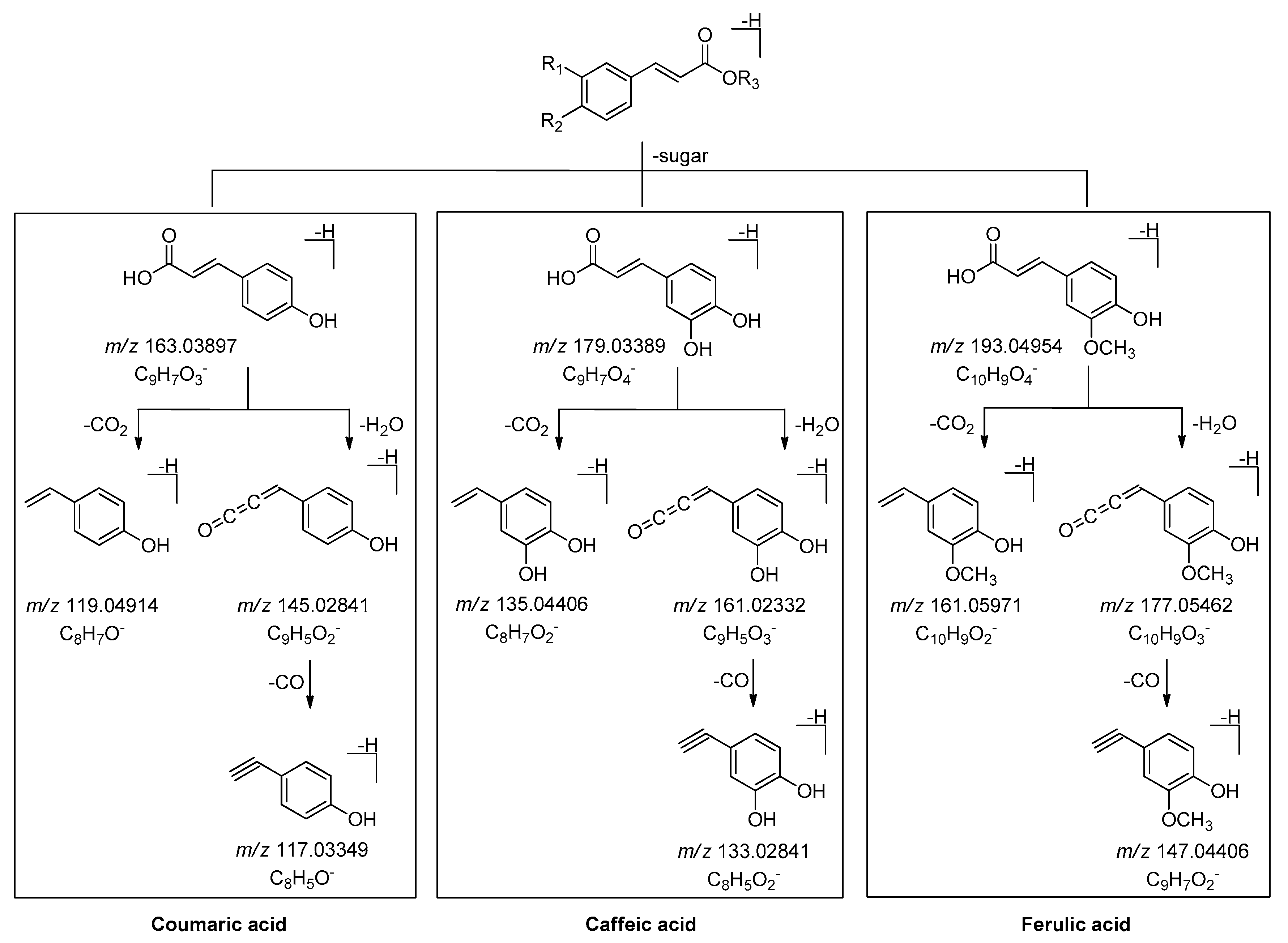 Molecules 25 00577 g012