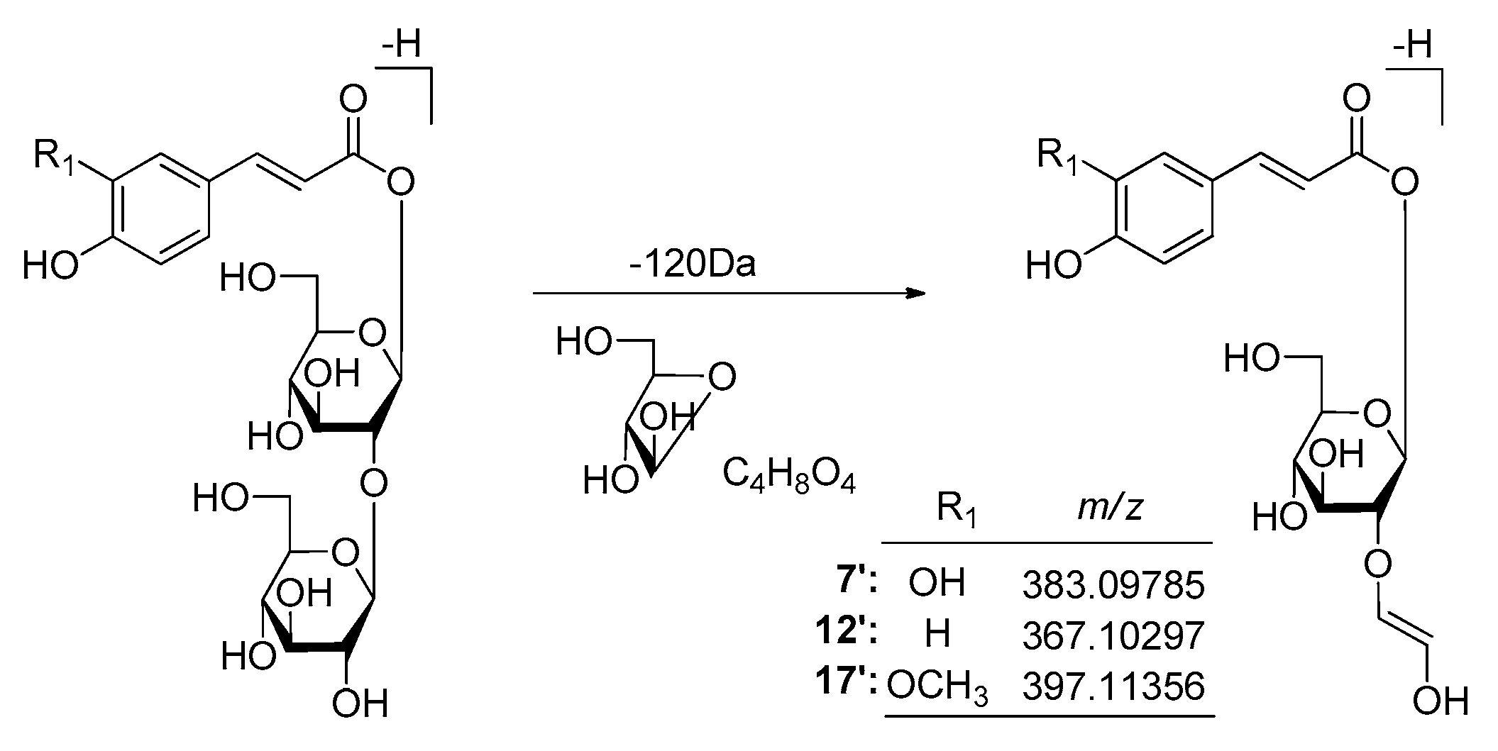 Molecules 25 00577 g013