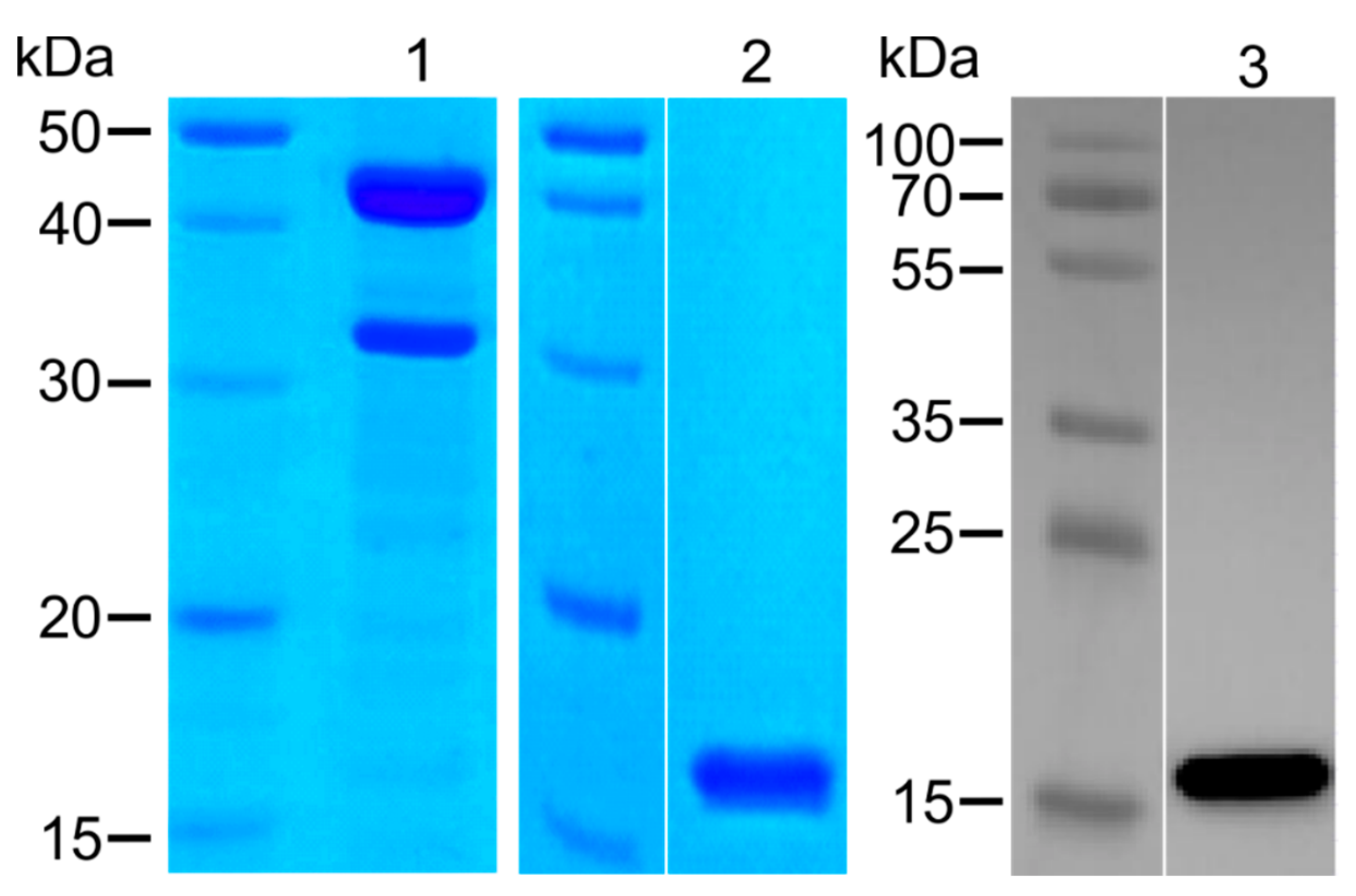 Molecules 25 00580 g001 Molecules 25 00580 g001