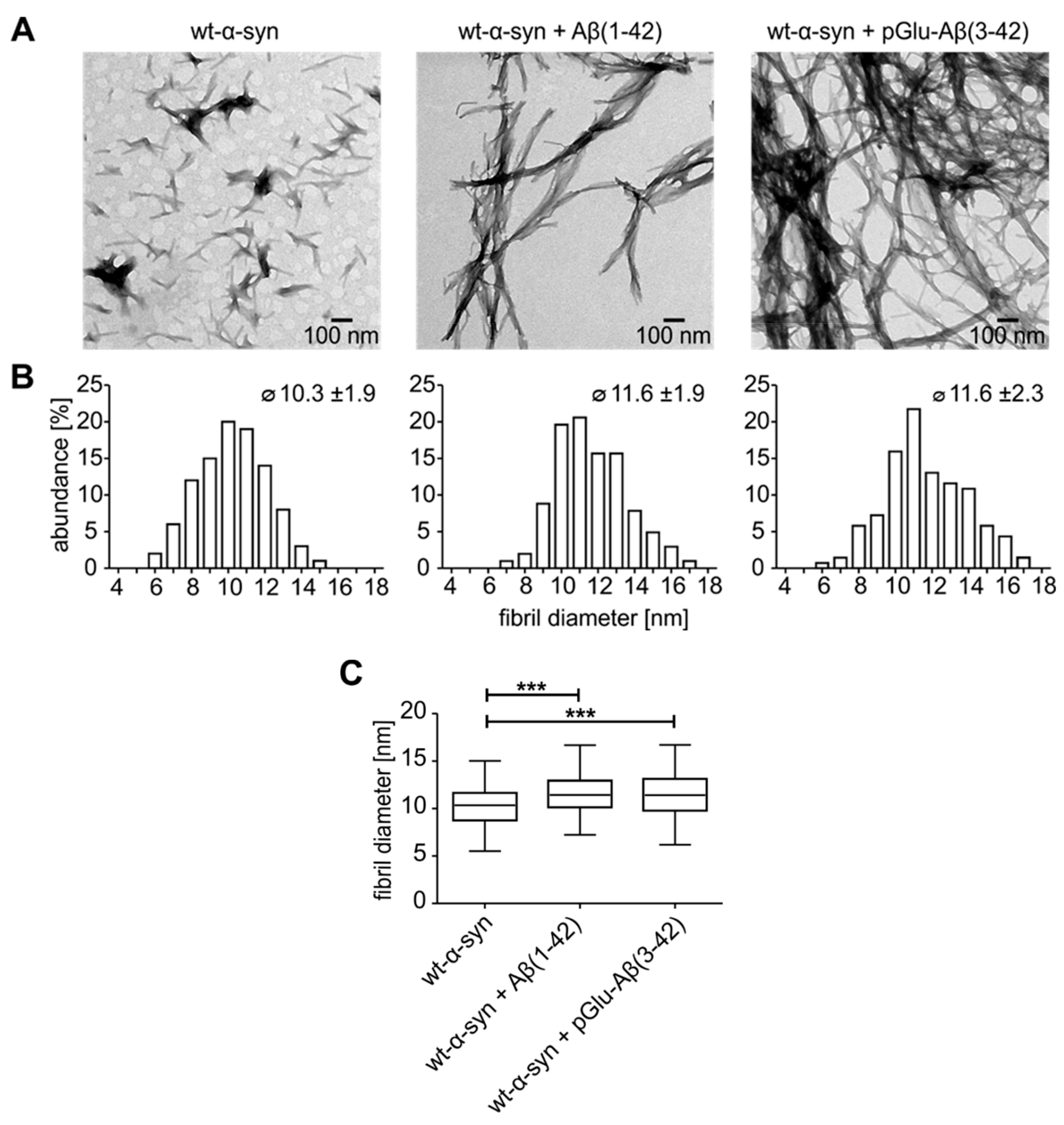 Molecules 25 00580 g005 Molecules 25 00580 g005