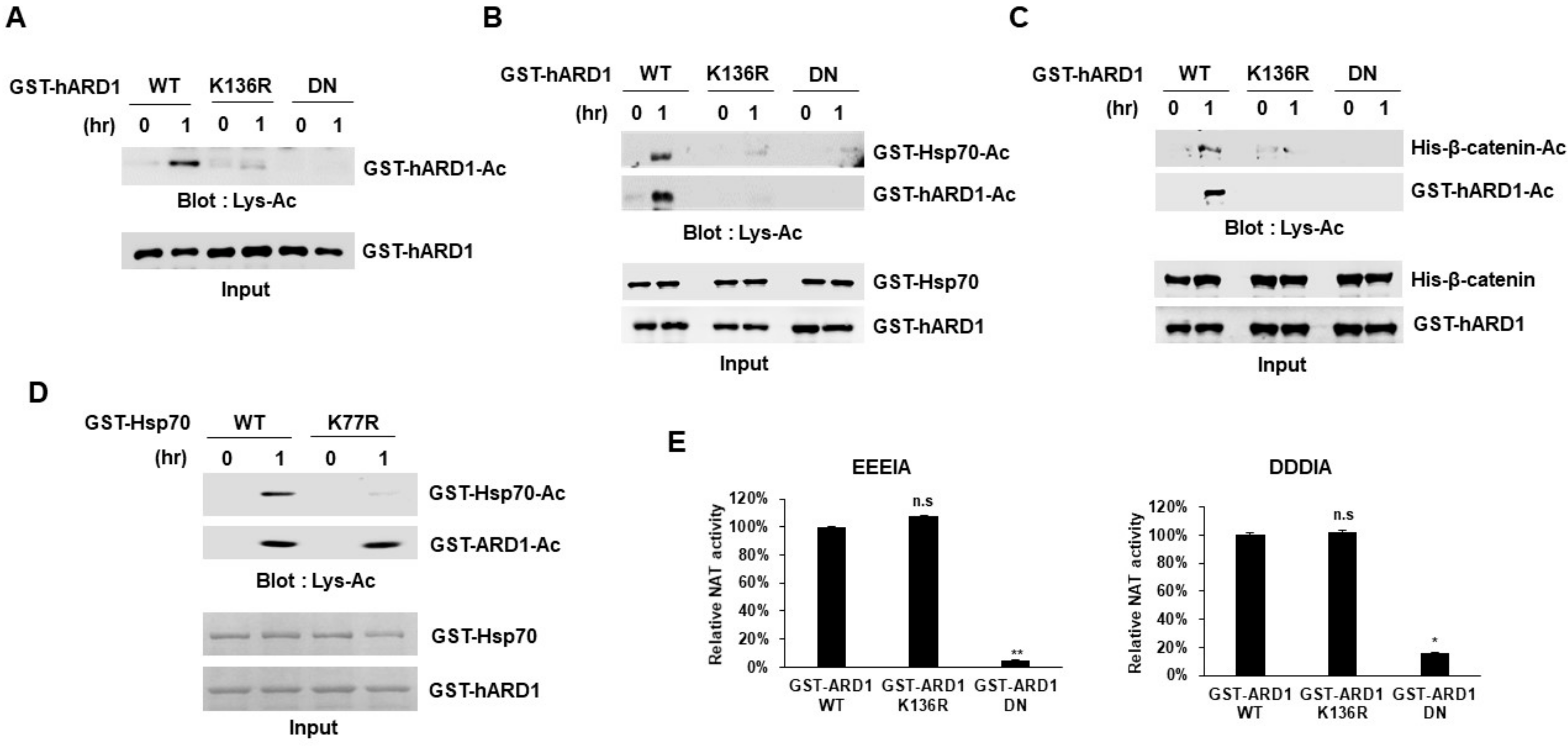 Molecules 25 00588 g003
