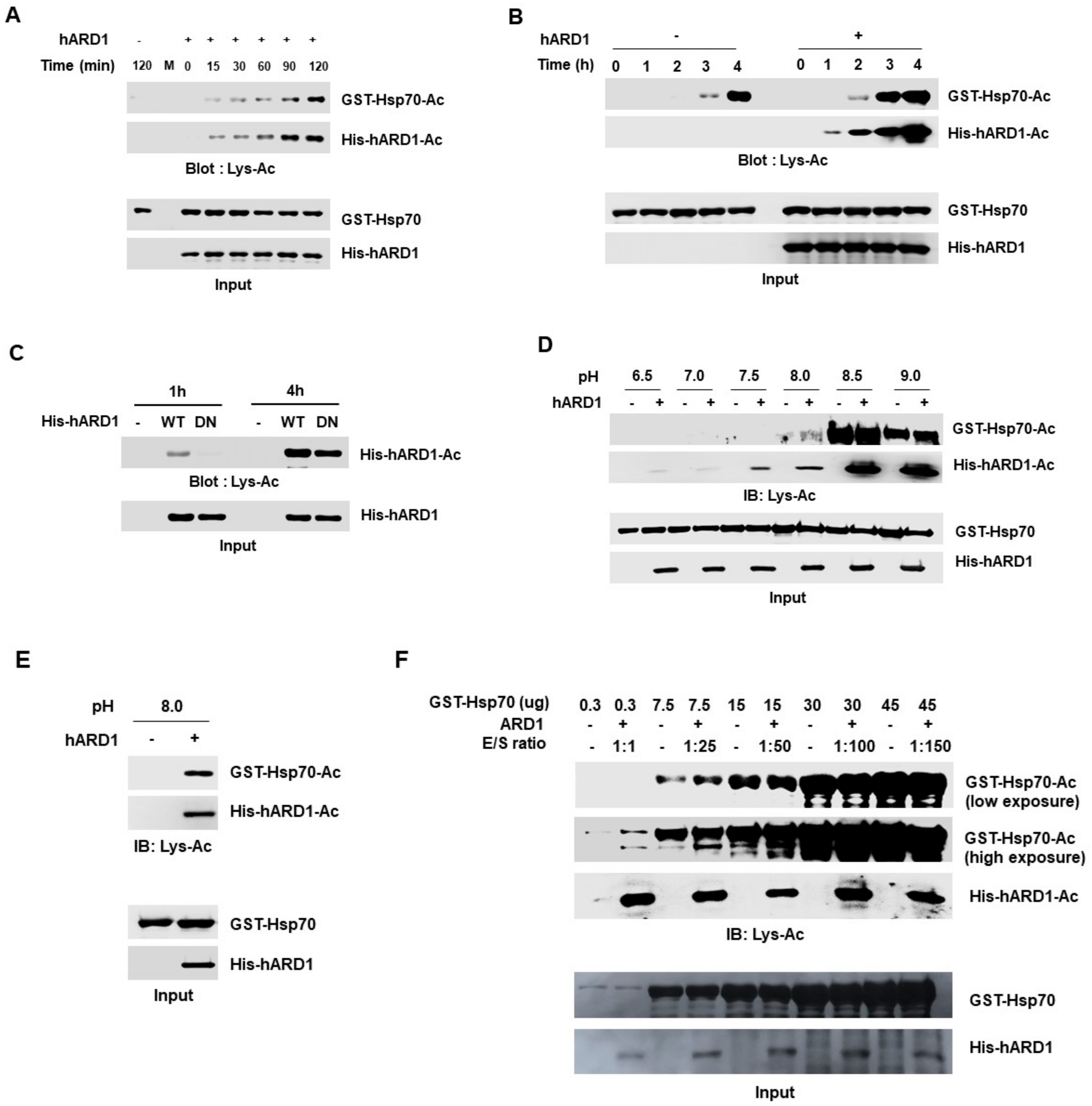 Molecules 25 00588 g005