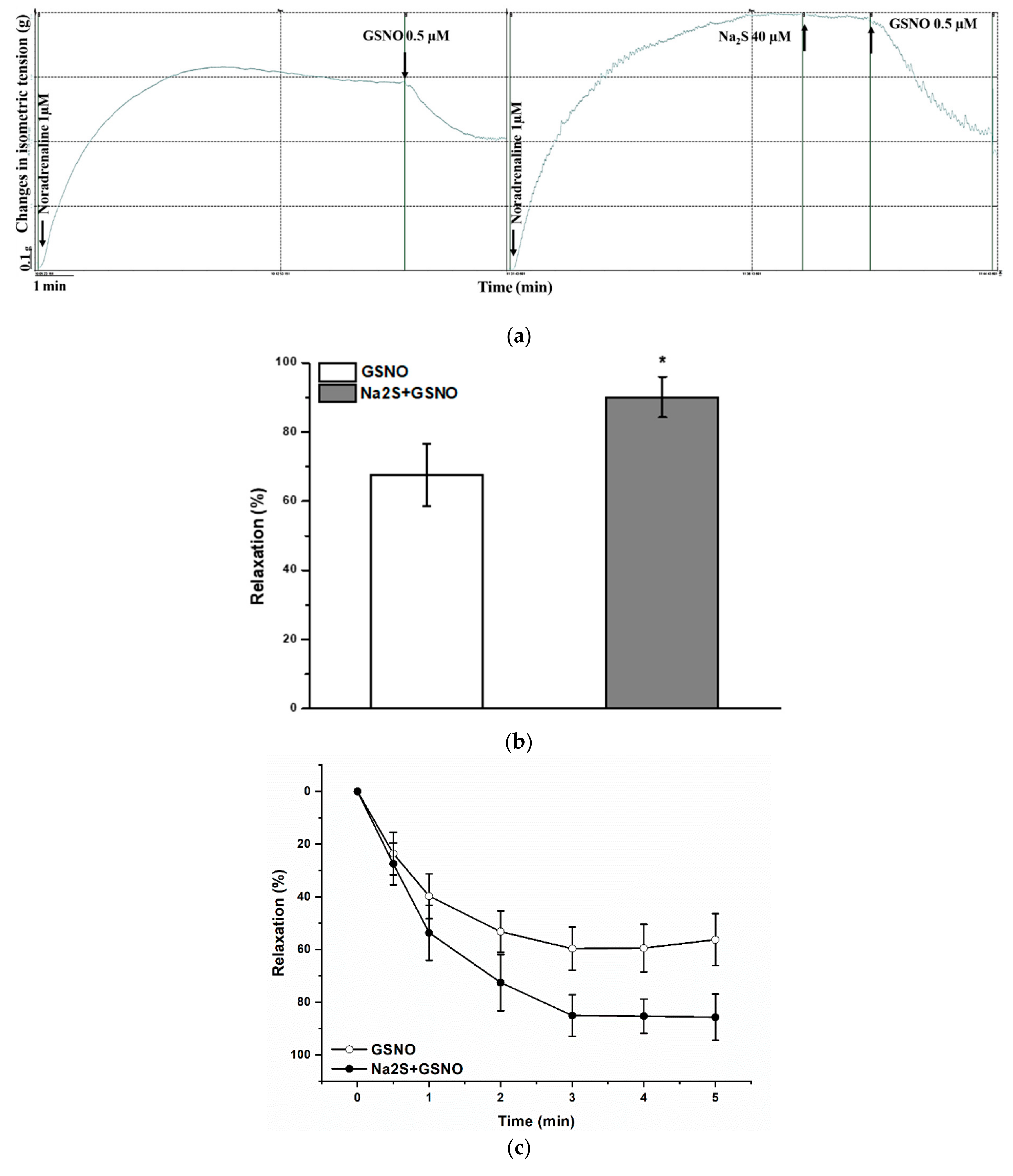 Molecules 25 00590 g003a Molecules 25 00590 g003a