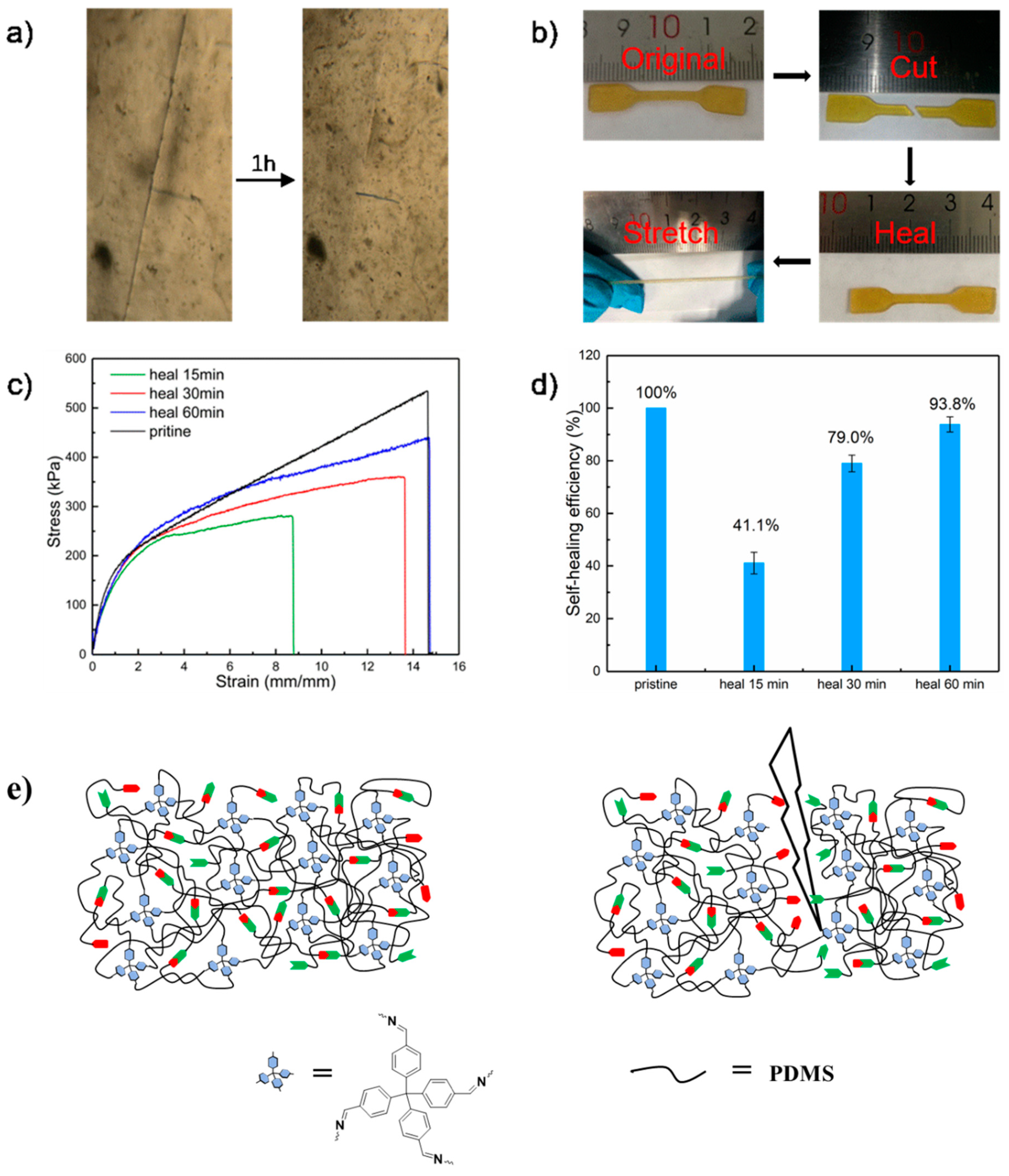Molecules 25 00597 g004