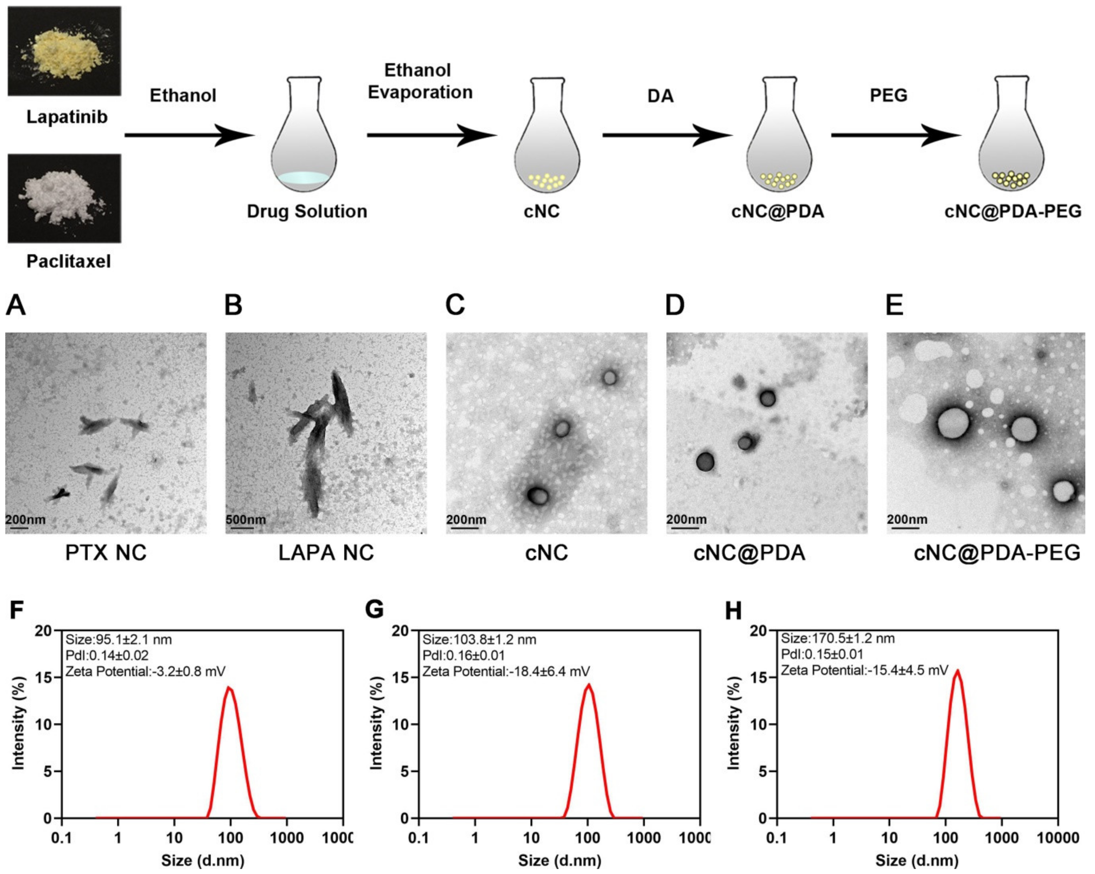 Molecules 25 00604 g002