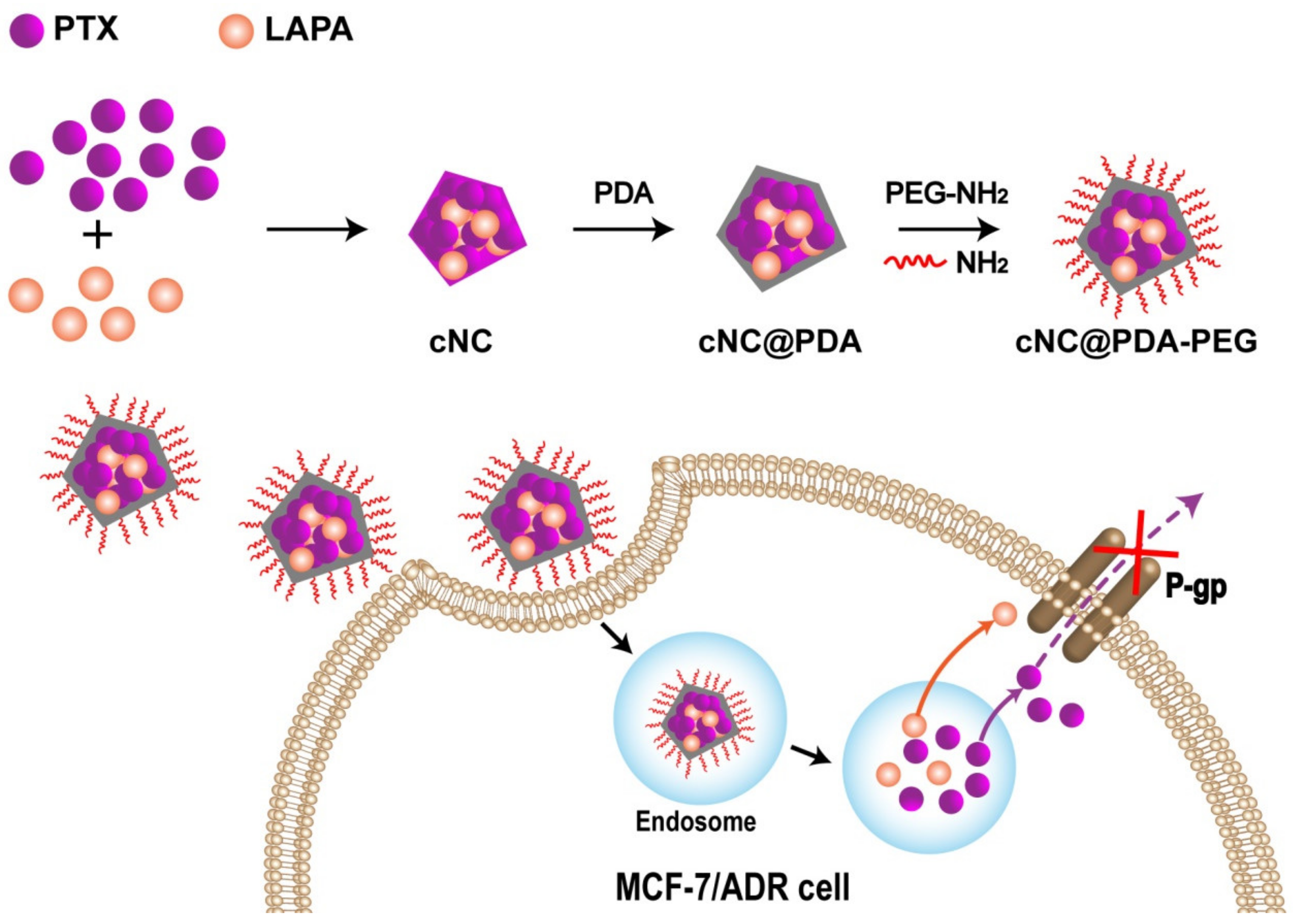 Molecules 25 00604 sch001