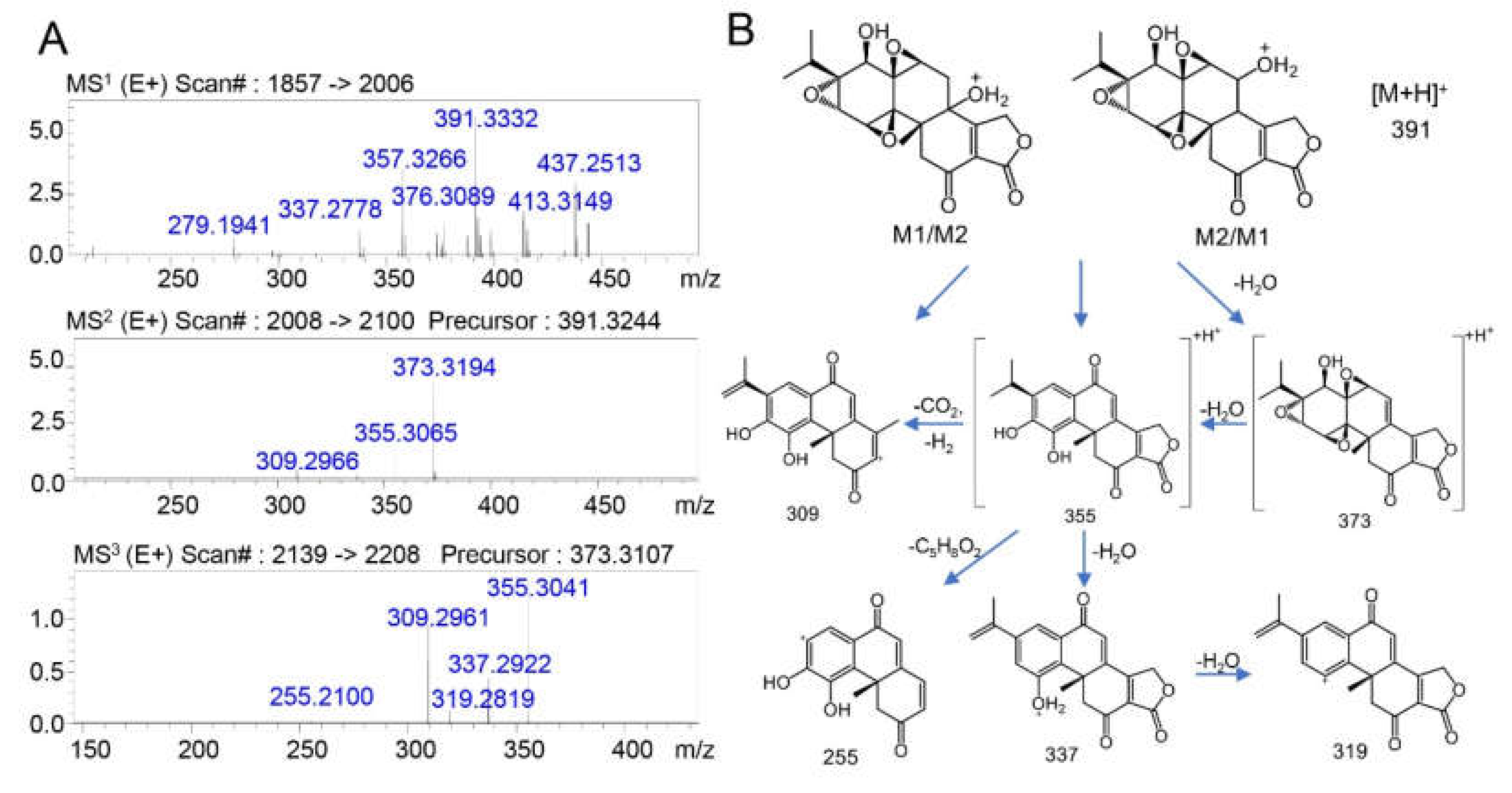 Molecules 25 00606 g003