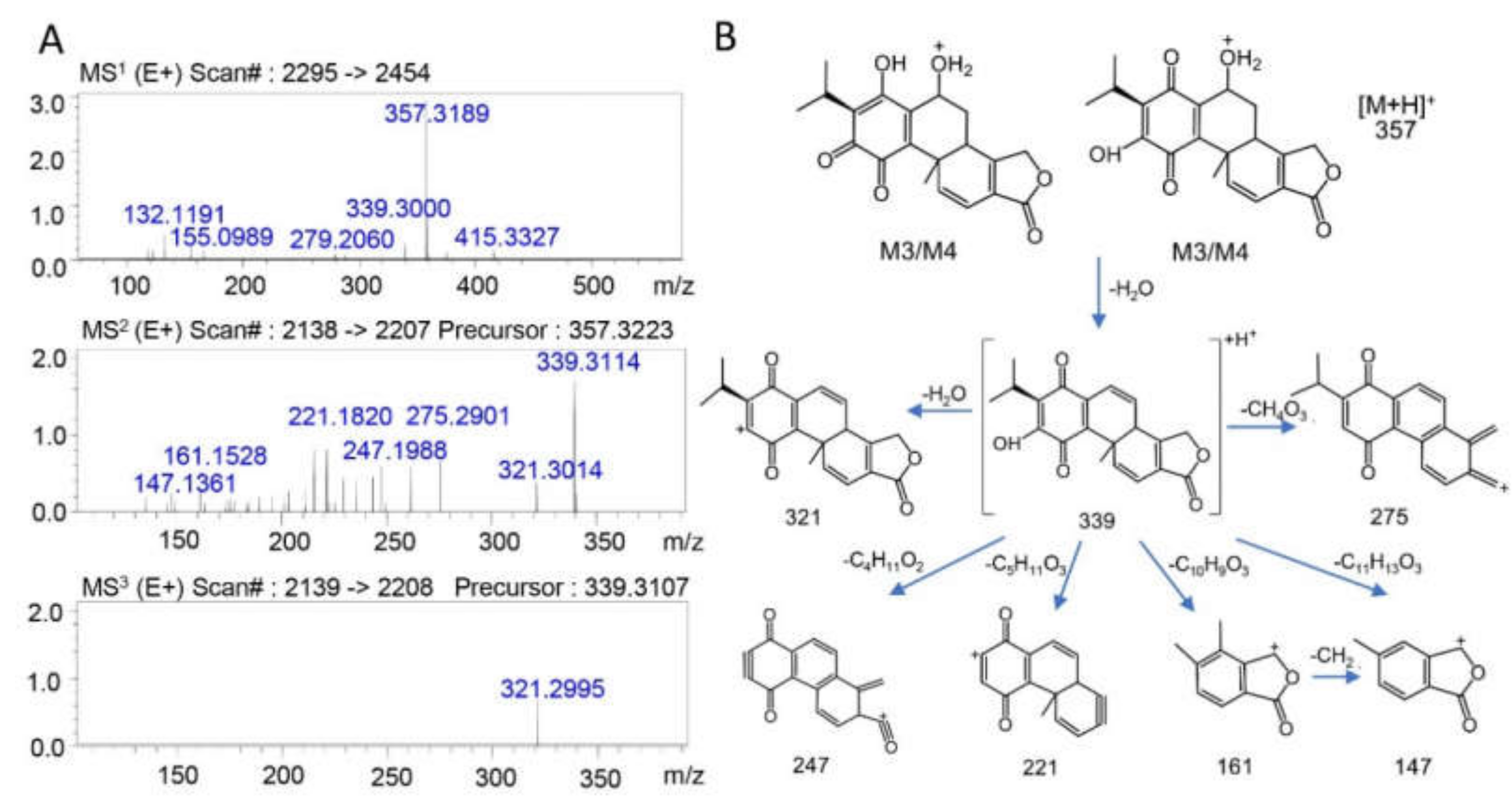 Molecules 25 00606 g004