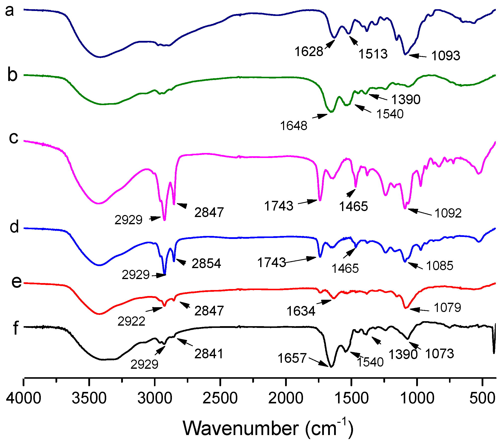 Molecules 25 00610 g004 Molecules 25 00610 g004