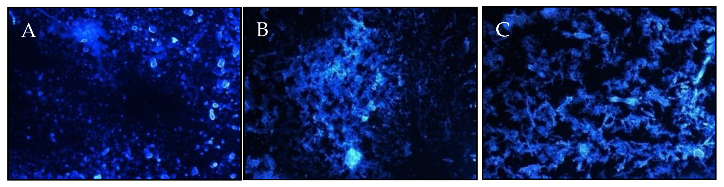 Molecules 25 00616 g014 Molecules 25 00616 g014