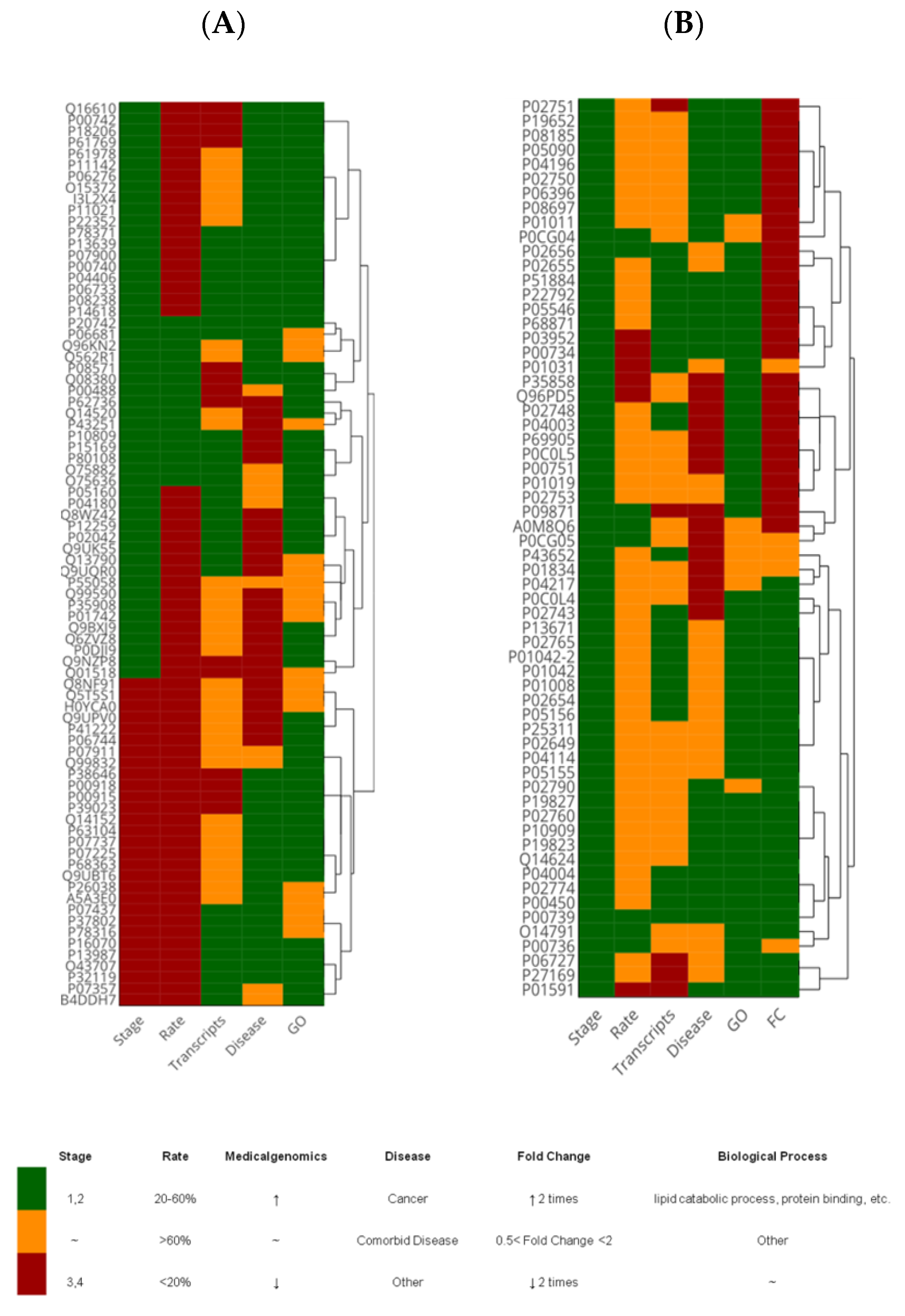 Molecules 25 00619 g002