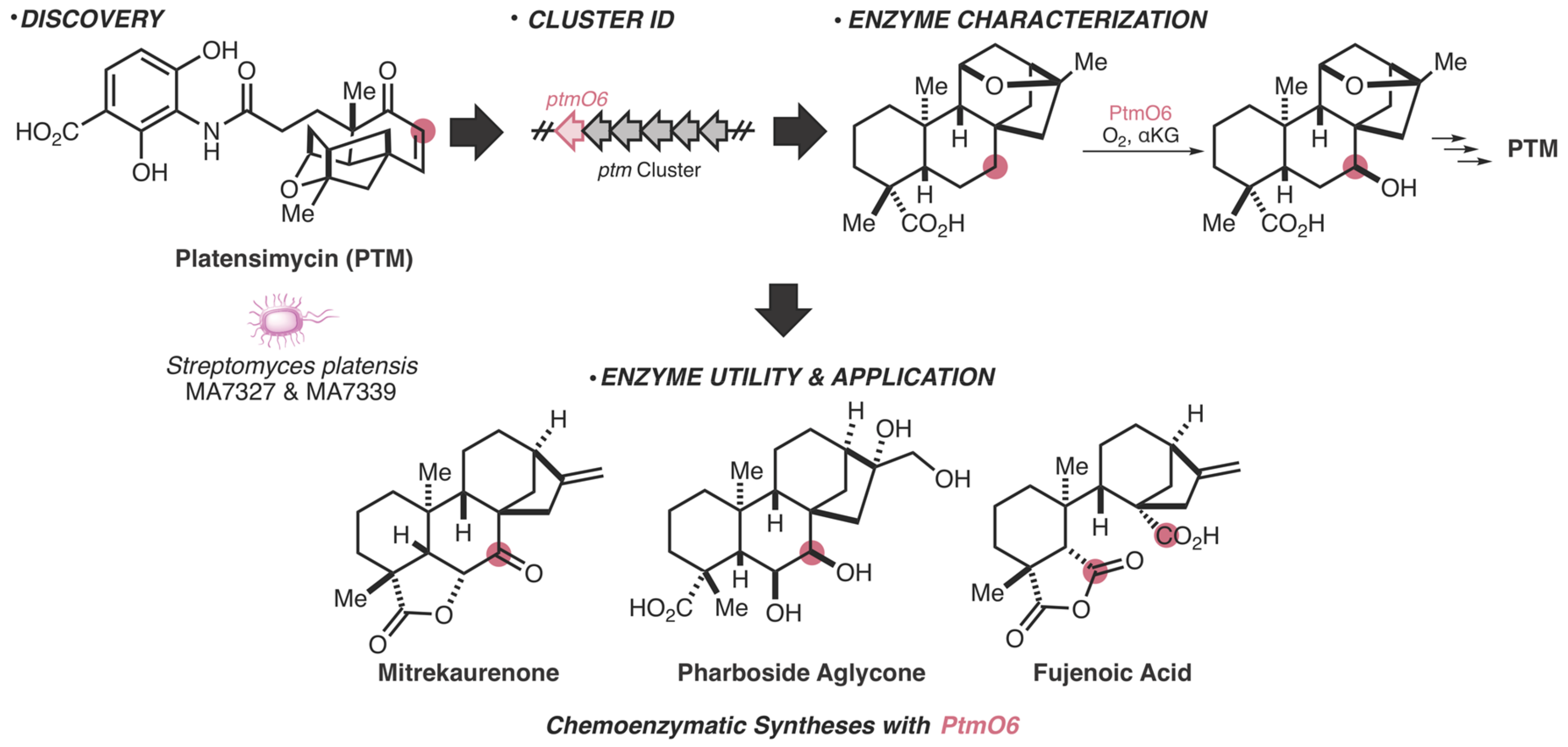 Molecules 25 00625 g001