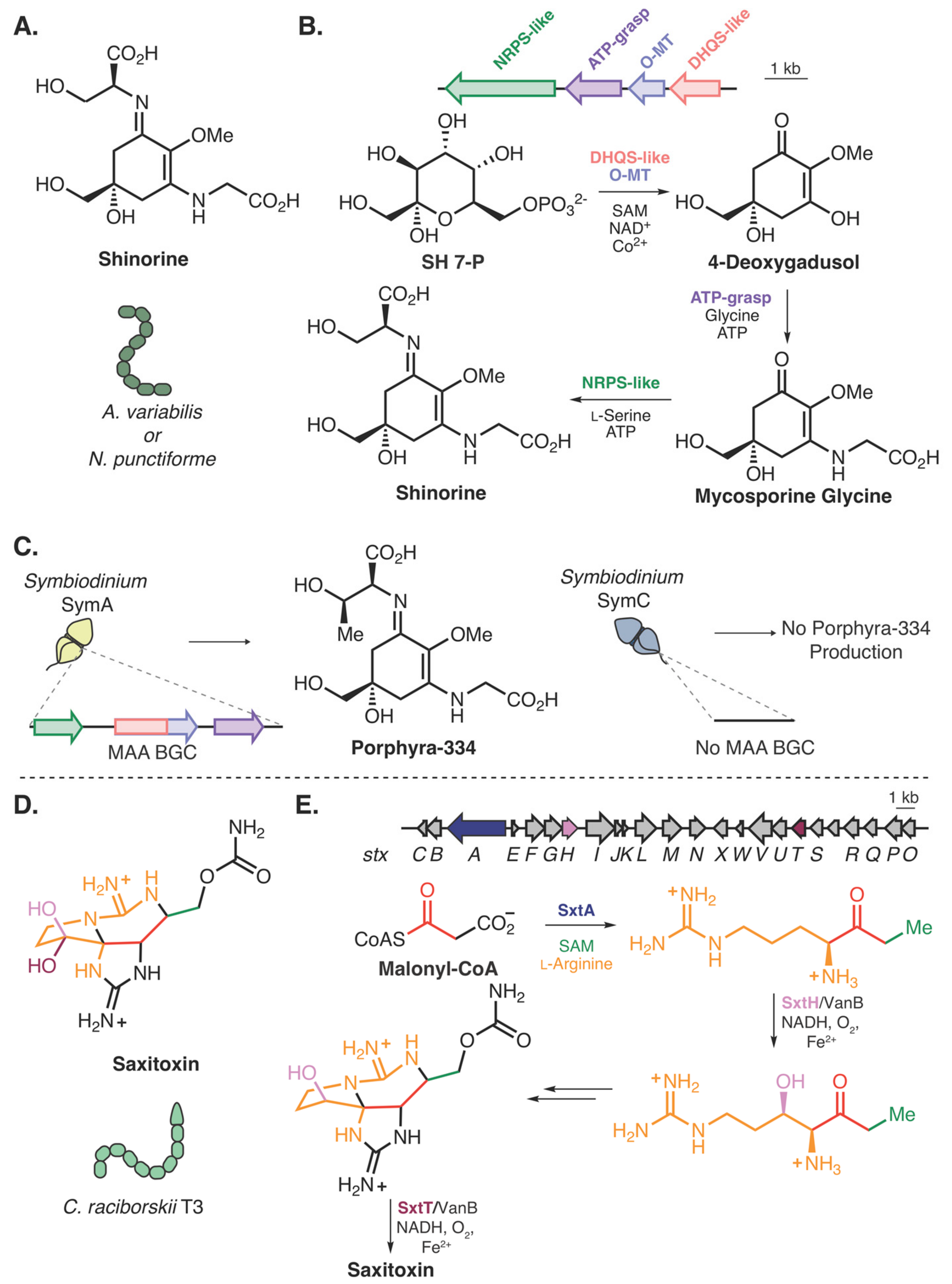 Molecules 25 00625 g003