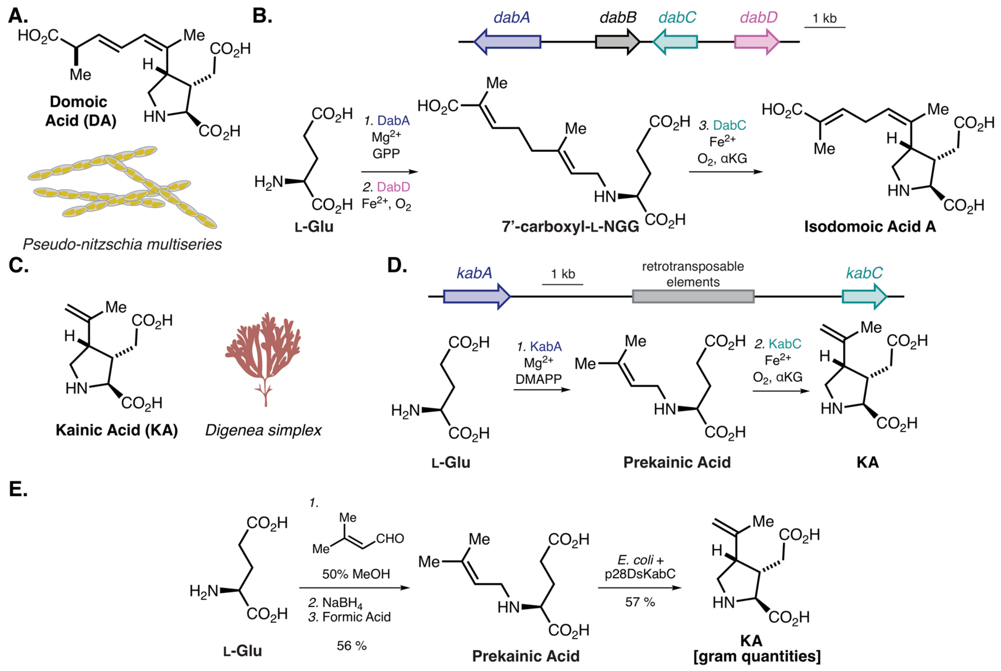 Molecules 25 00625 g004