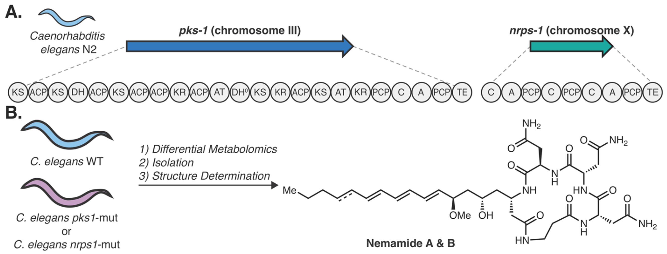 Molecules 25 00625 g007