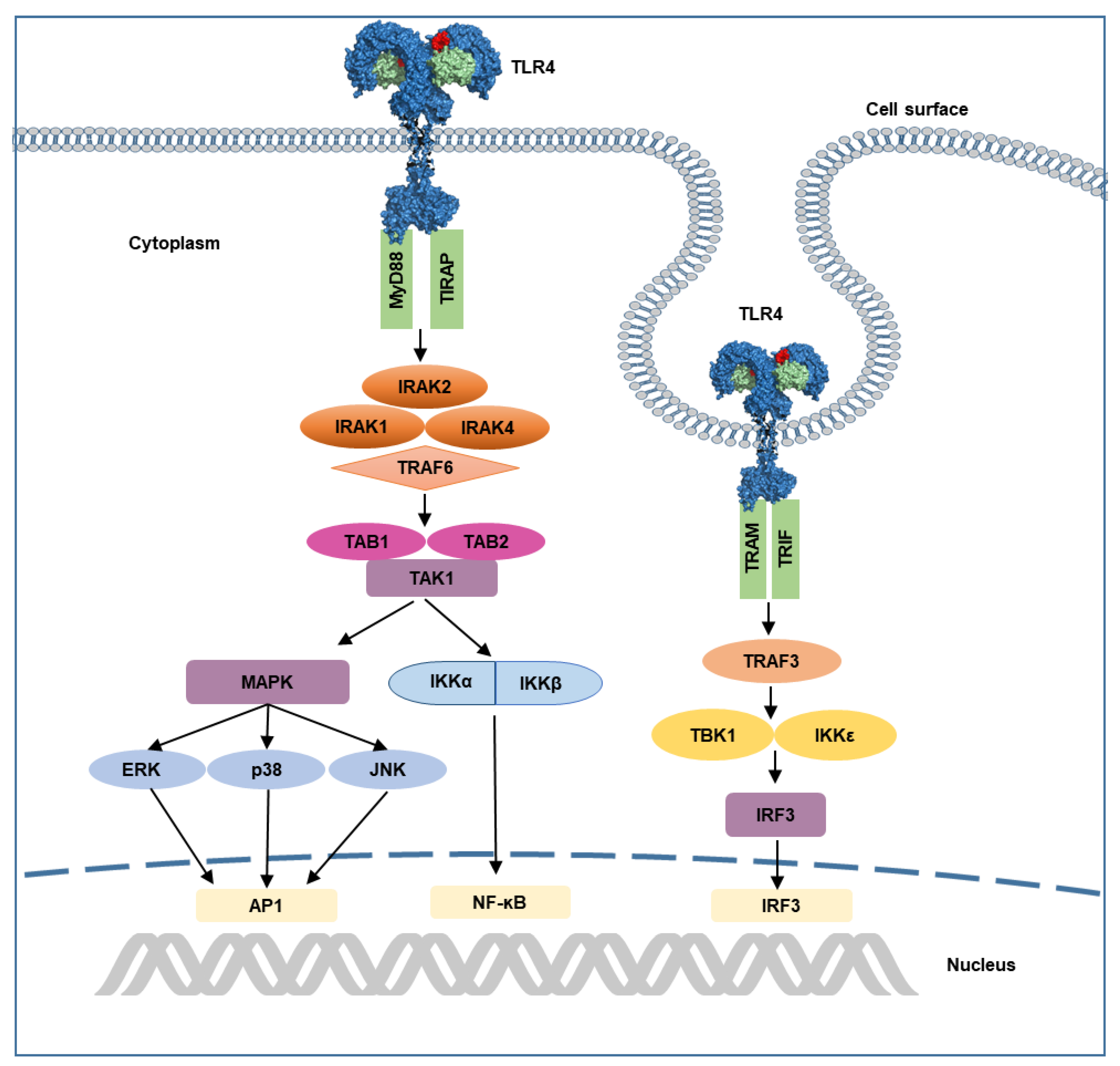 Molecules 25 00627 g004 Molecules 25 00627 g004
