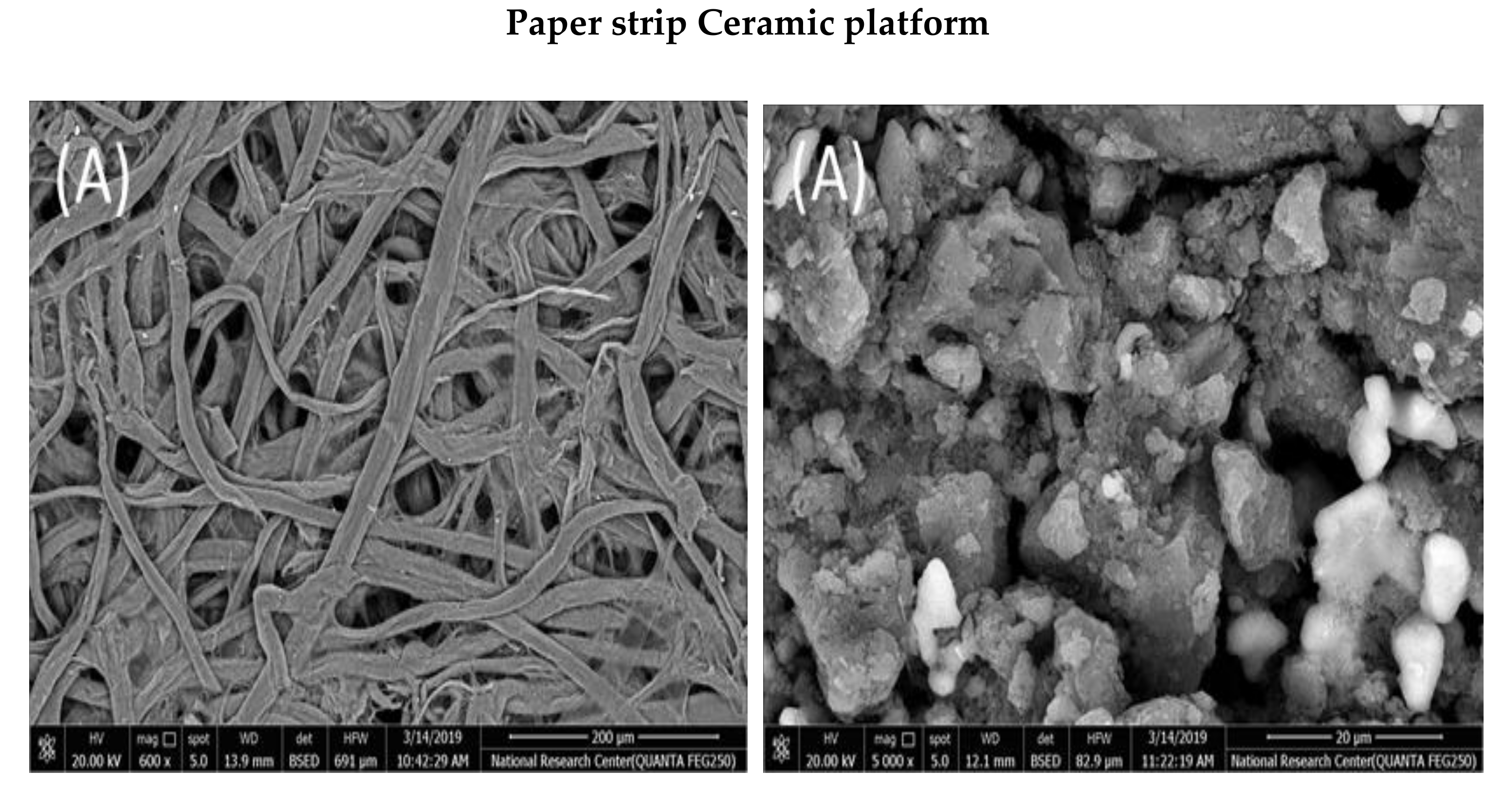 Molecules 25 00629 g001a Molecules 25 00629 g001a