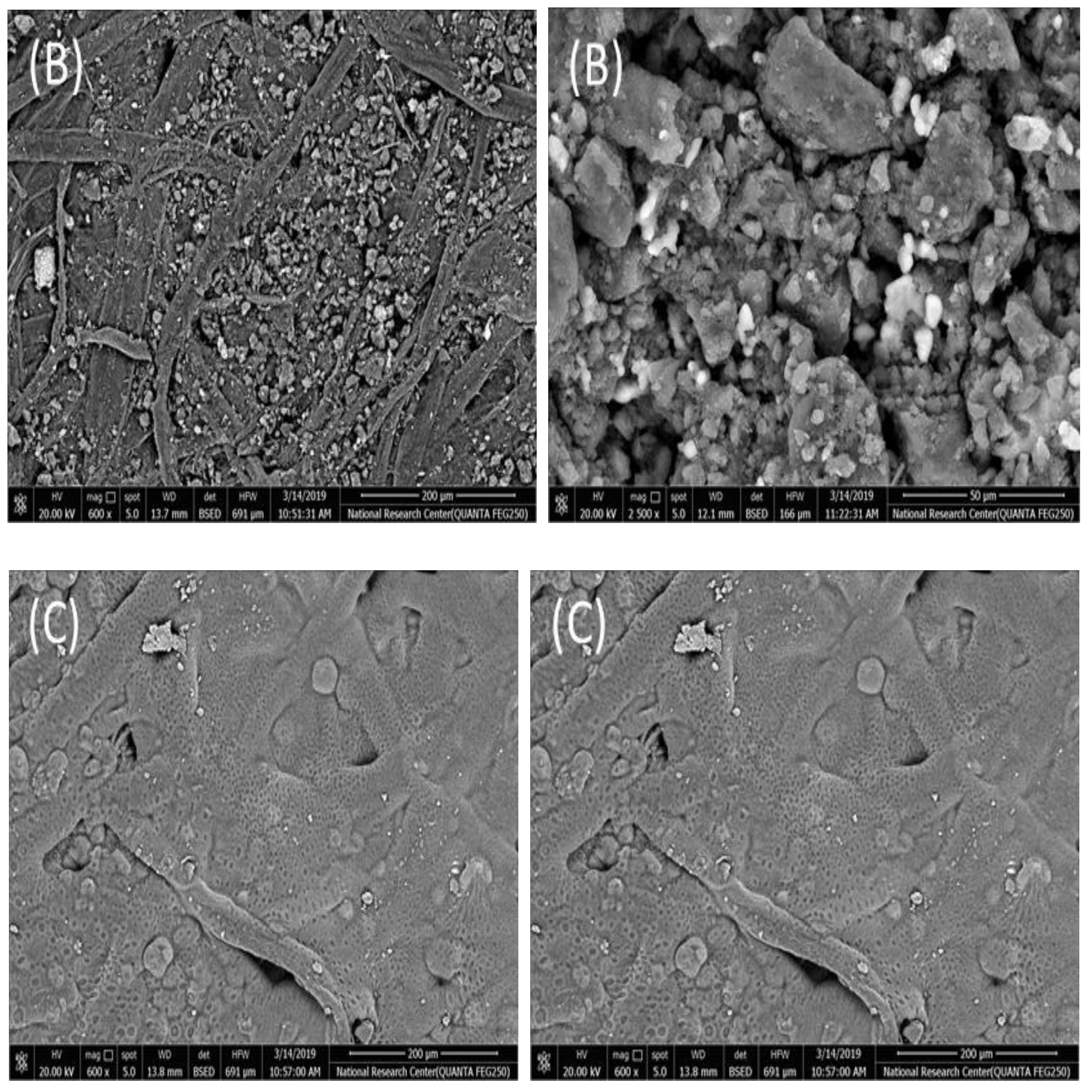 Molecules 25 00629 g001b Molecules 25 00629 g001b