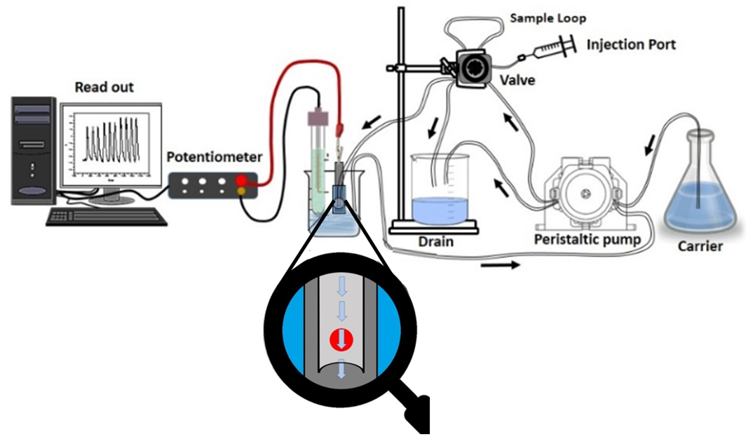 Molecules 25 00629 g009 Molecules 25 00629 g009