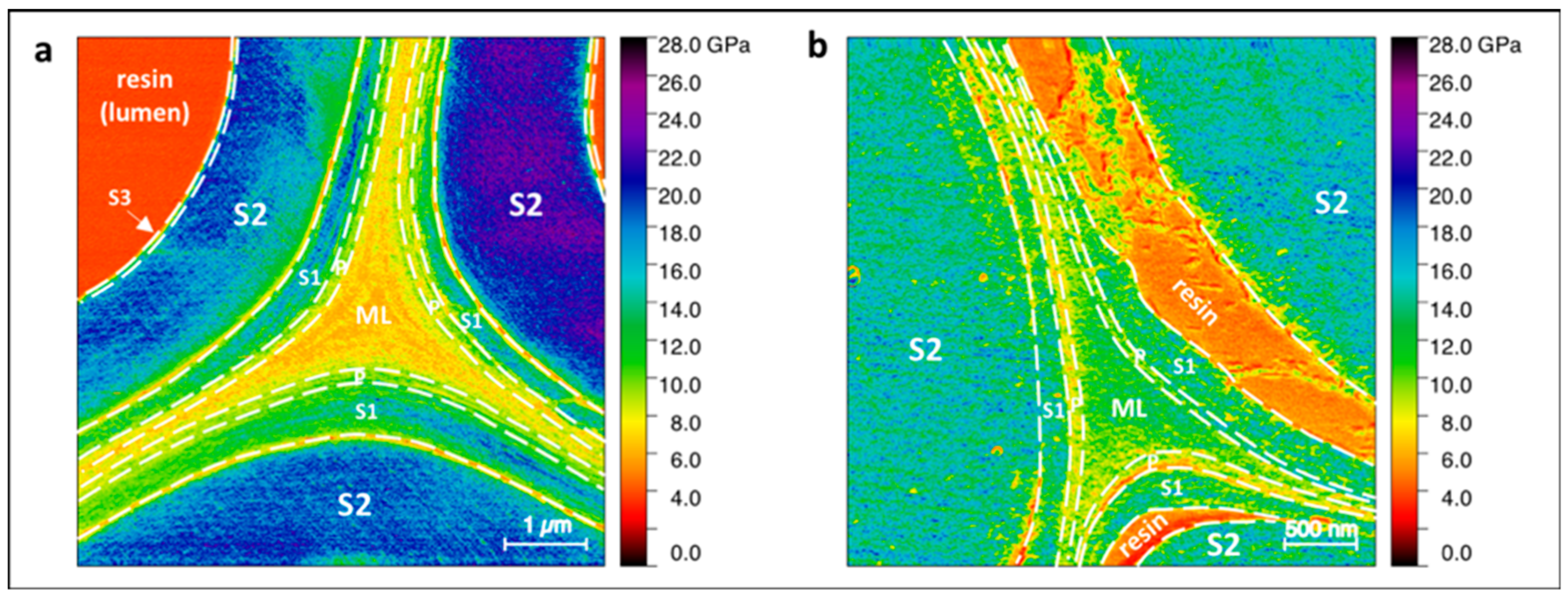 Molecules 25 00632 g005 Molecules 25 00632 g005