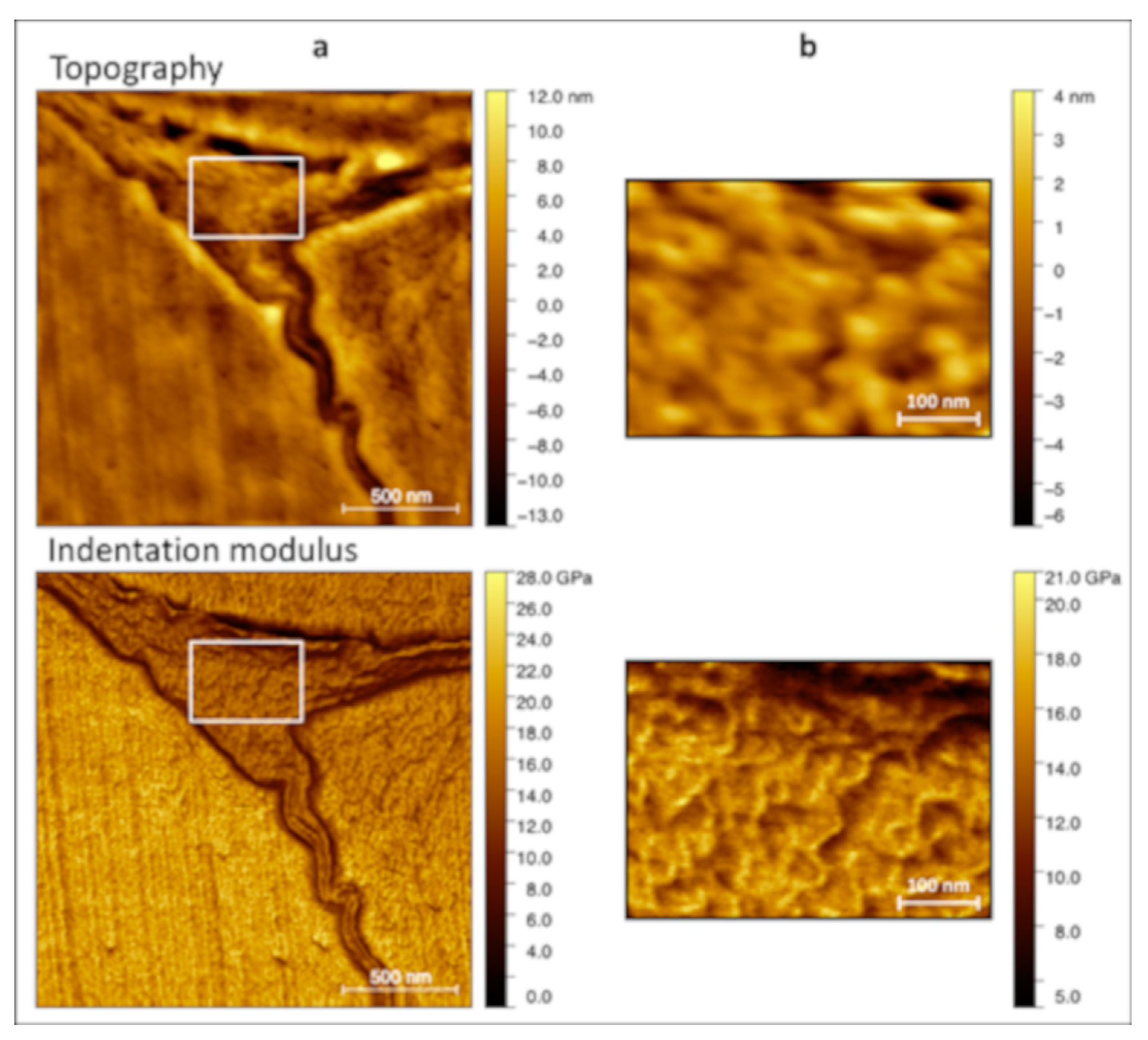 Molecules 25 00632 g0a1 Molecules 25 00632 g0a1
