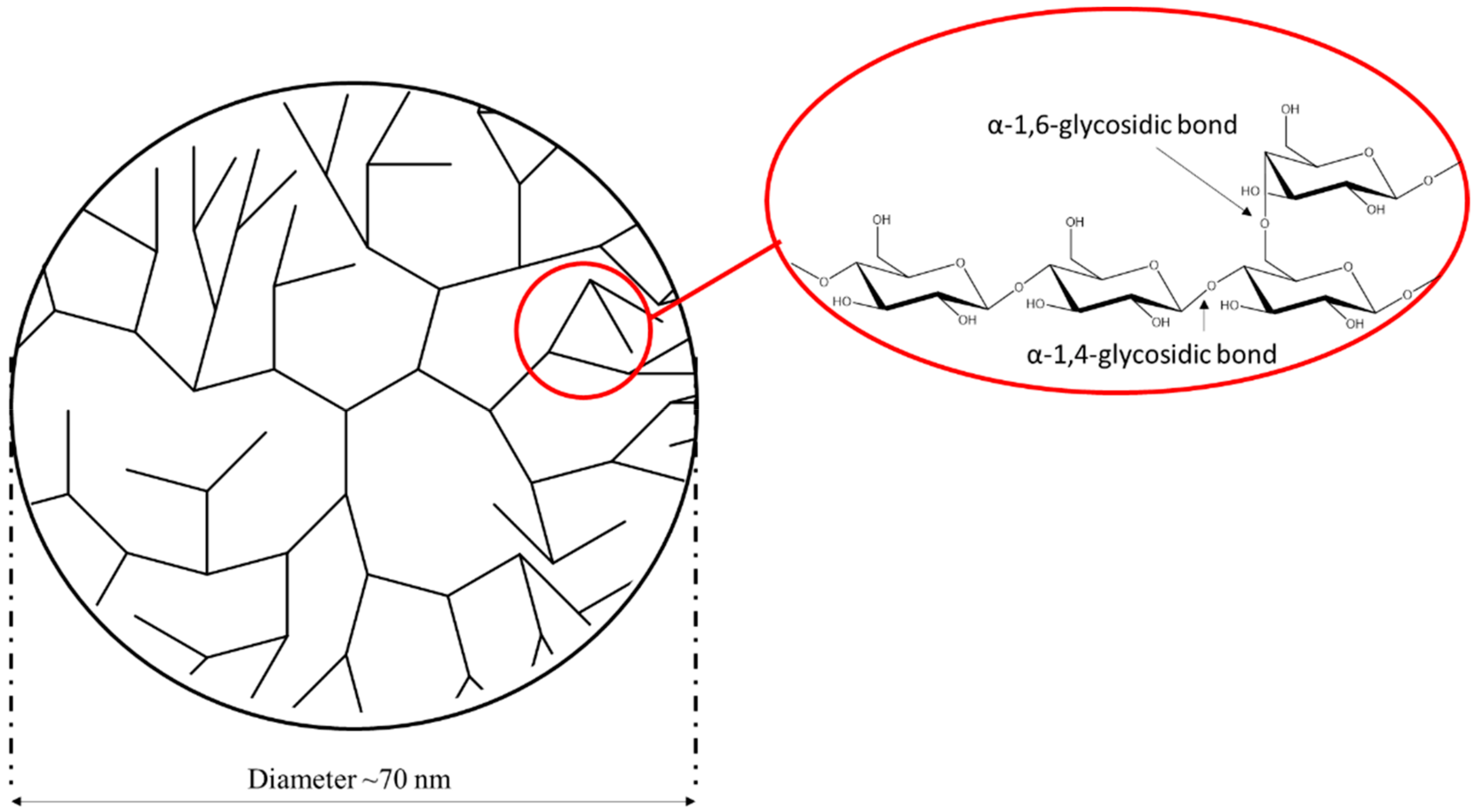Molecules 25 00637 g001 Molecules 25 00637 g001