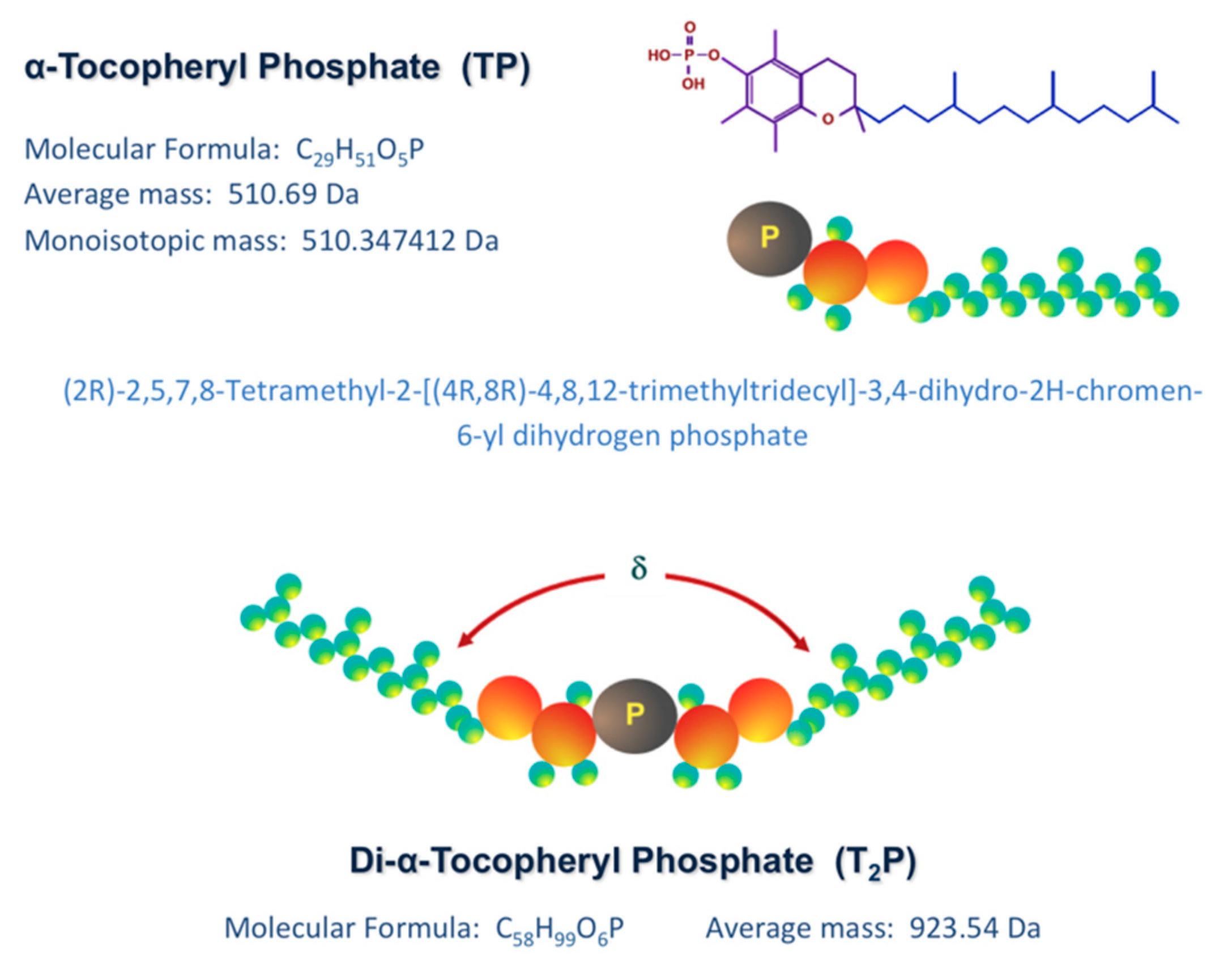 Molecules 25 00638 g002